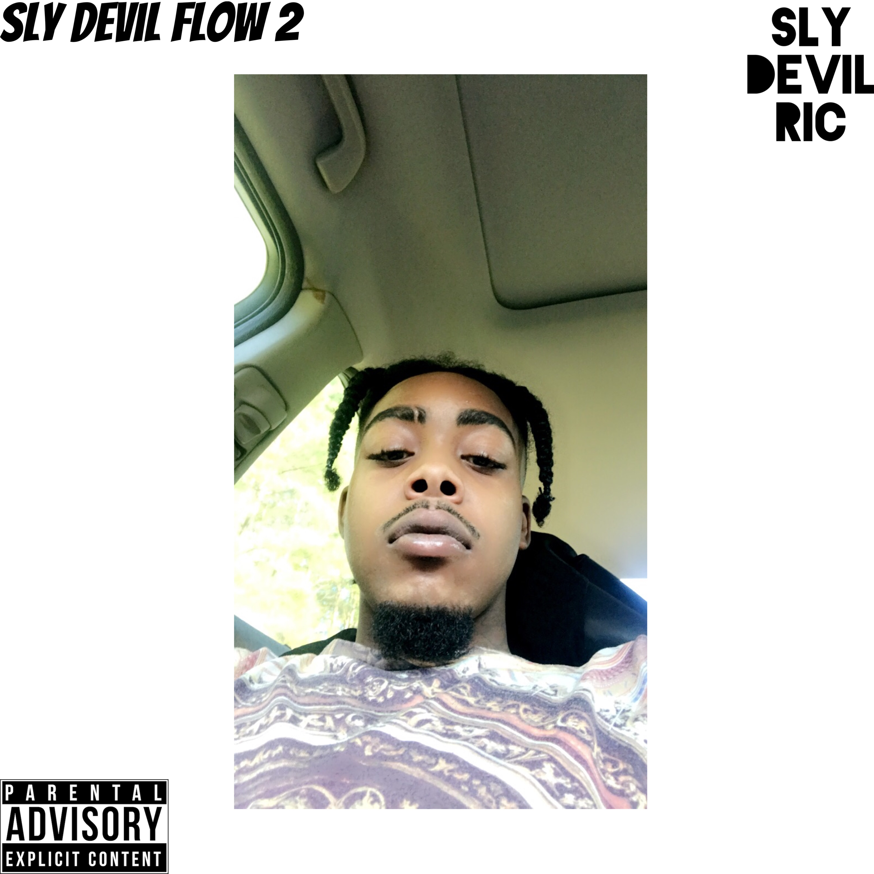 Sly Devil Flow 2 artwork