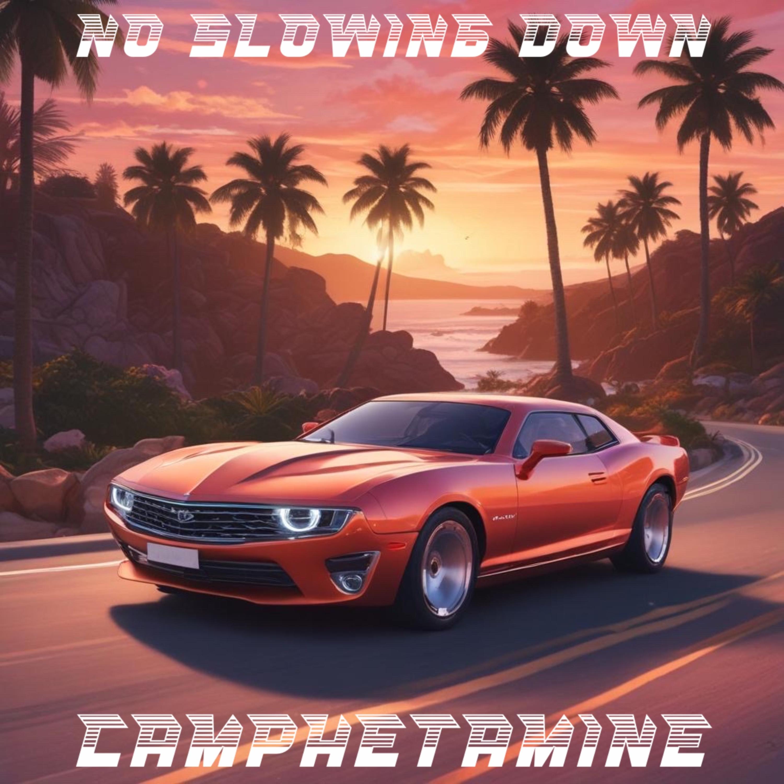 No Slowing Down artwork