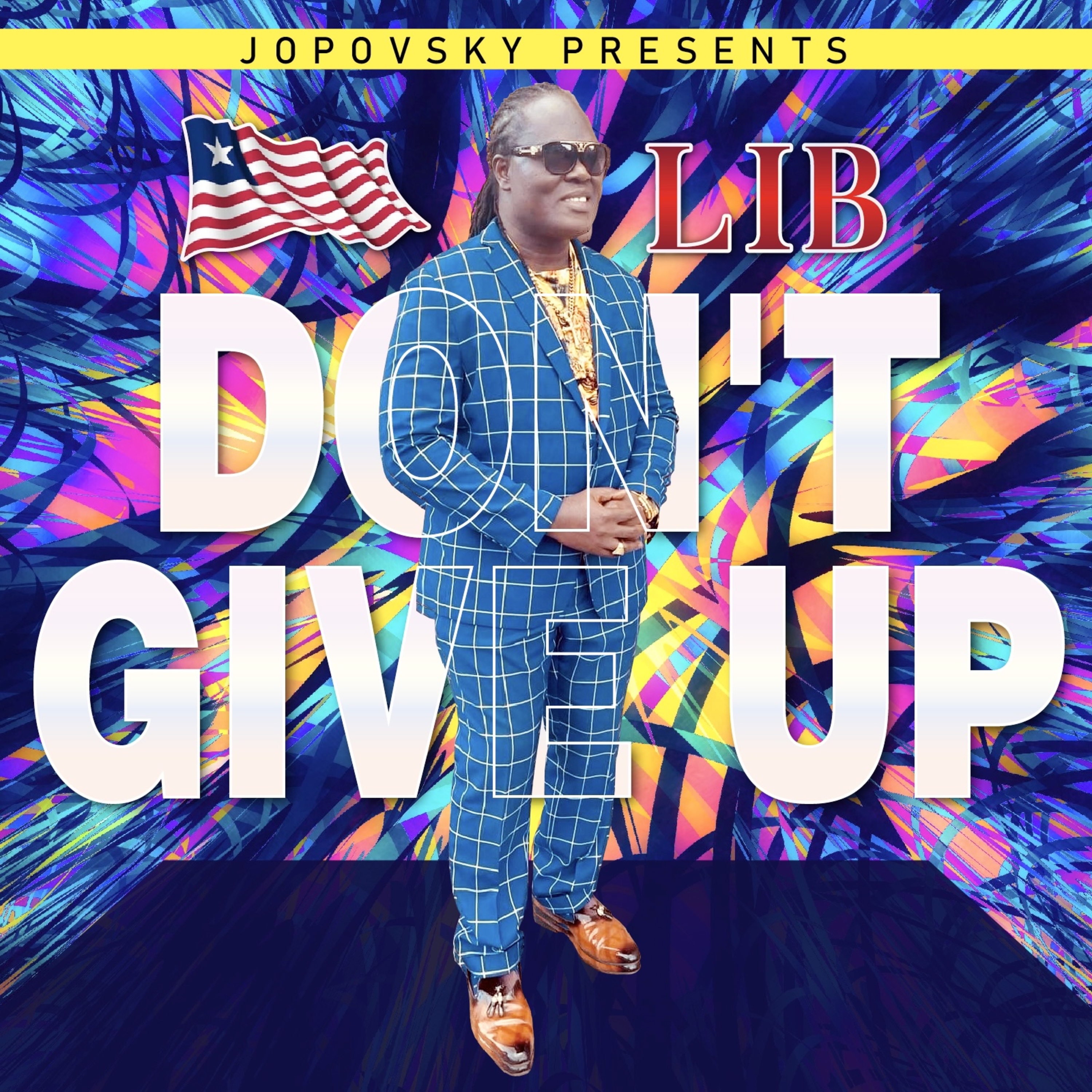 LIB  DONT GIVE UP artwork