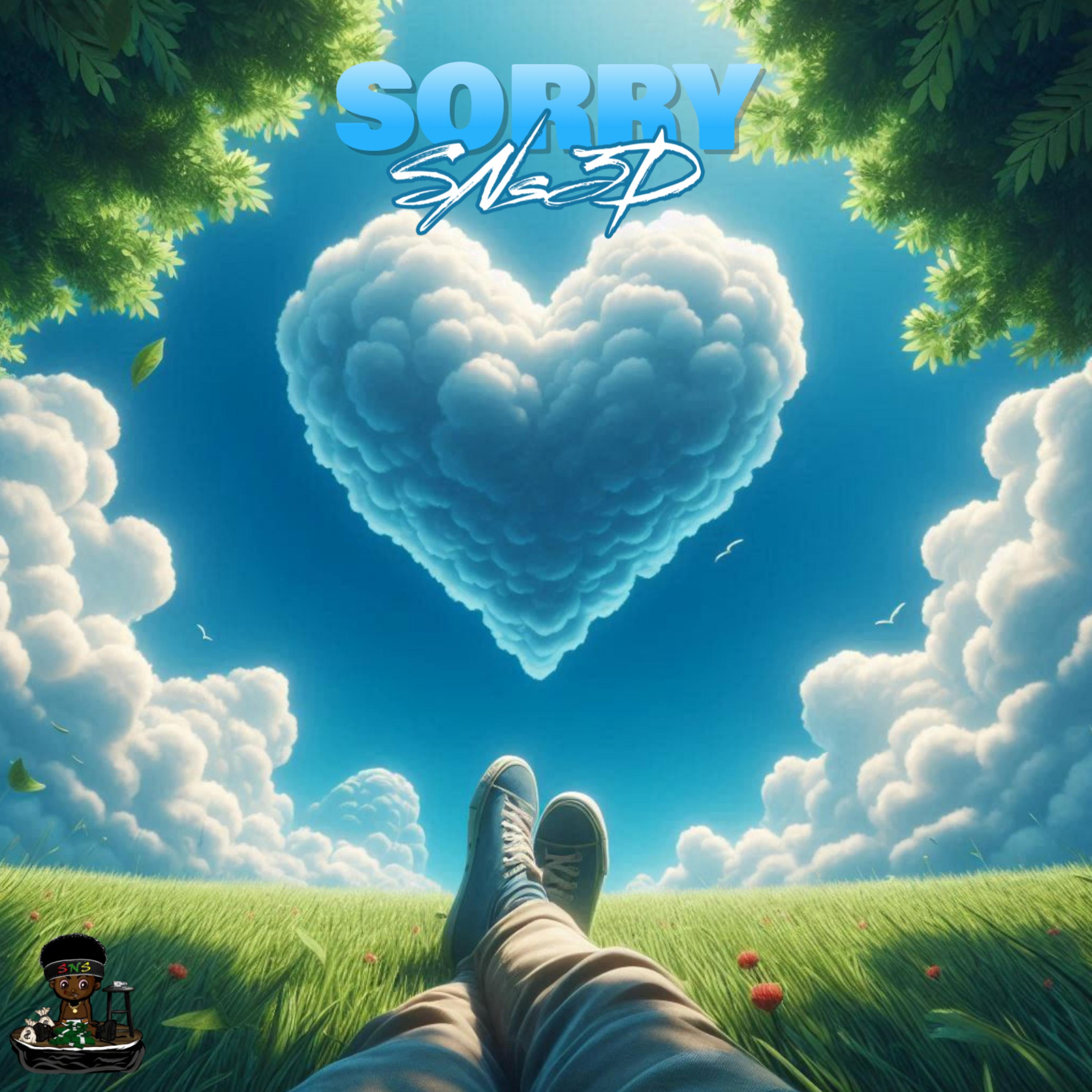 SORRY artwork