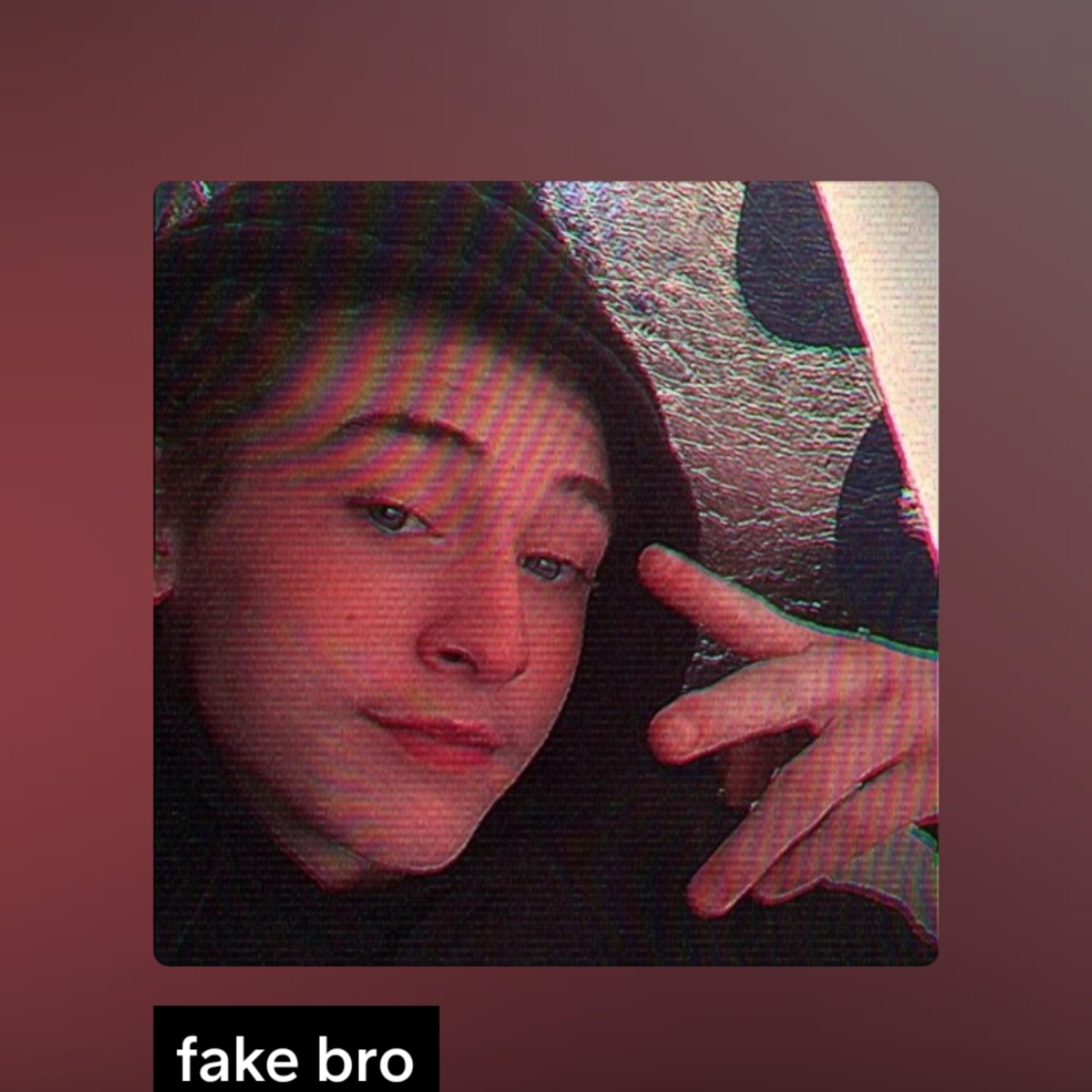 Fake Bro by Yung350 cover art
