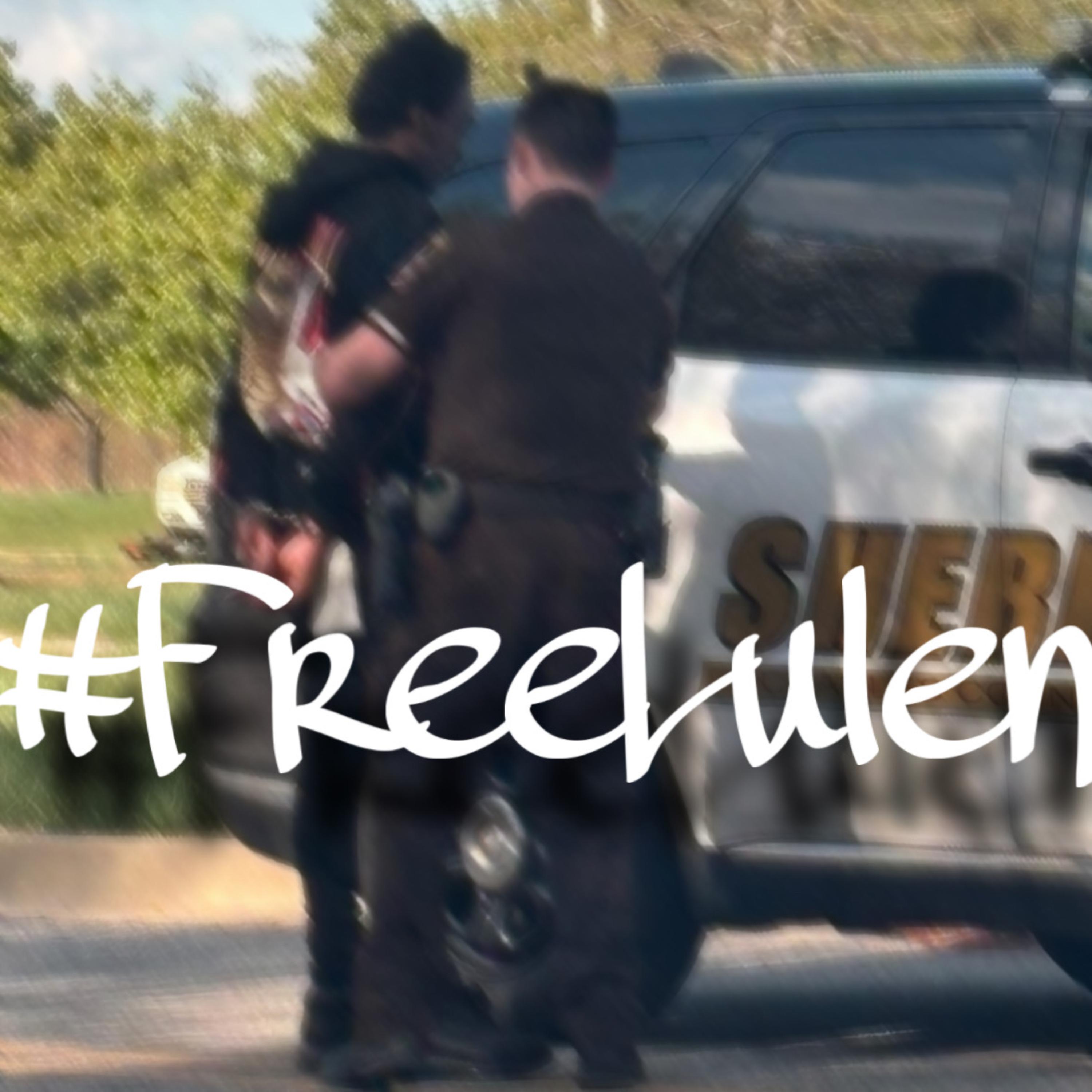 freelulen artwork