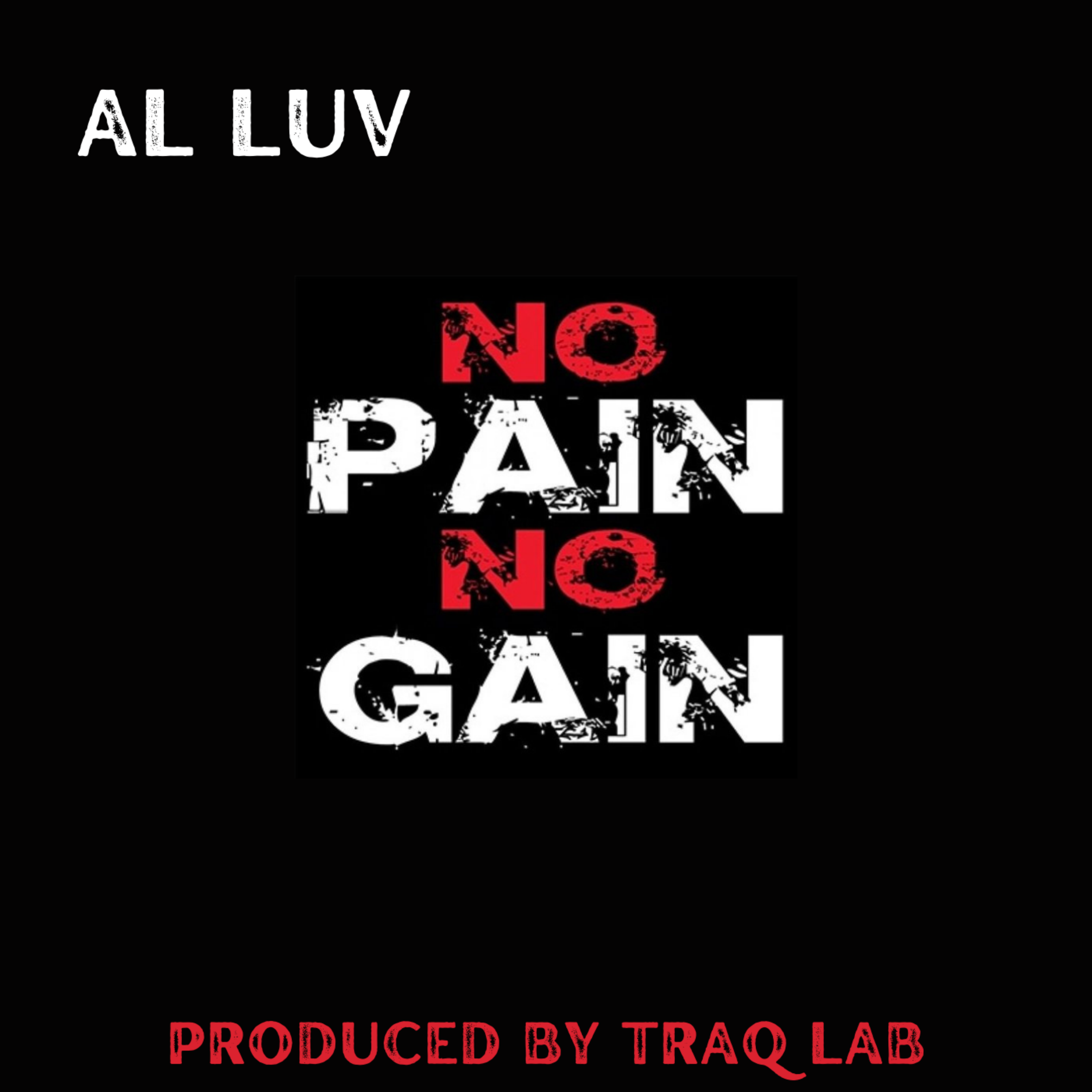 No Pain No Gain artwork