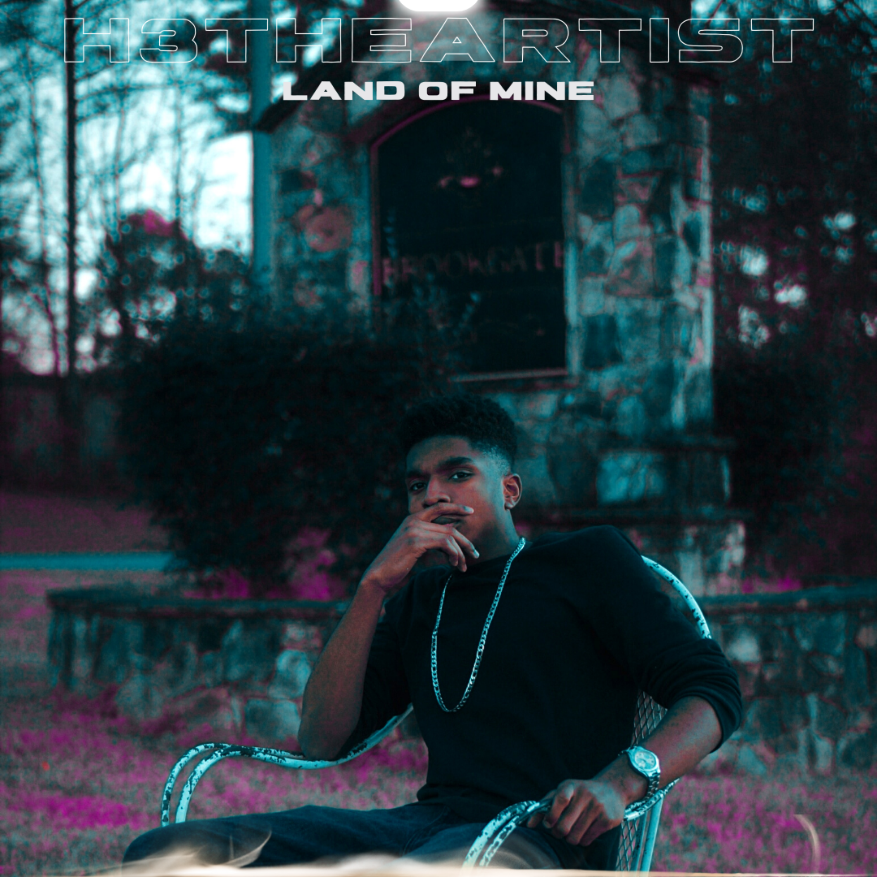 LAND OF MINE artwork