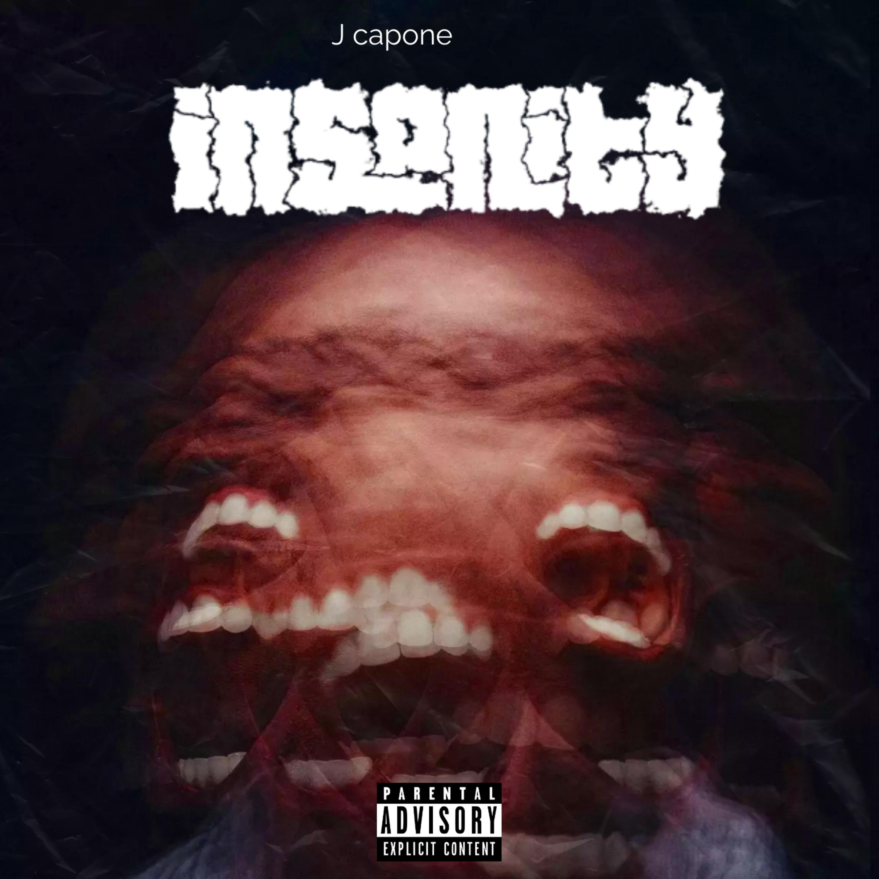 Insanity by J capone cover art