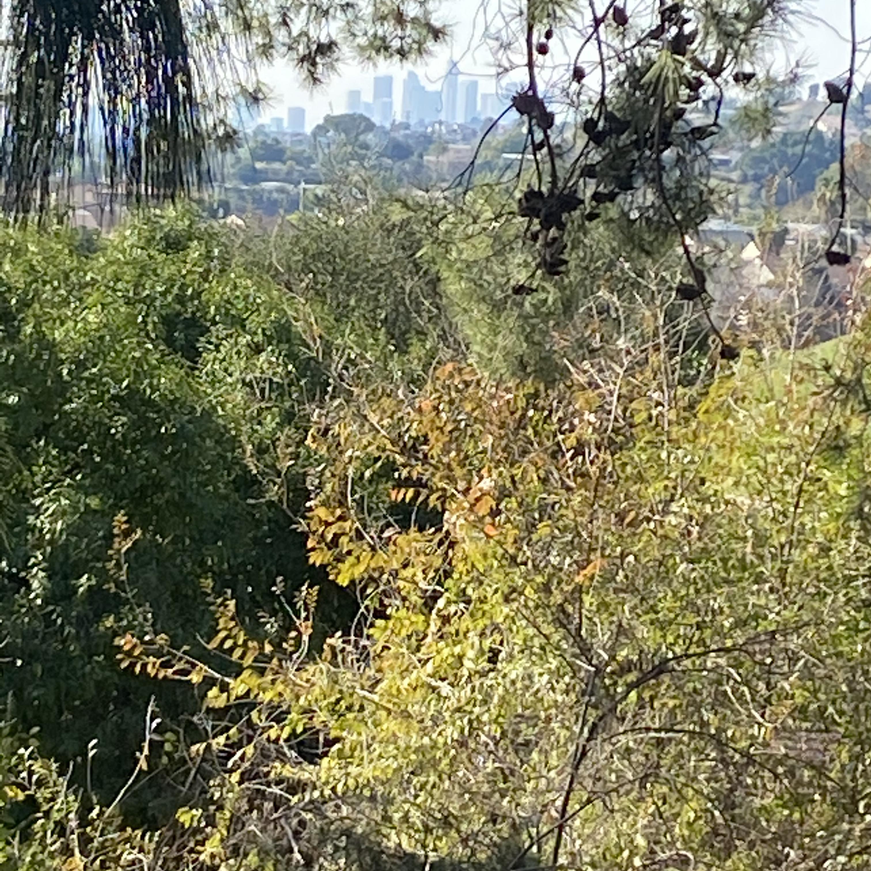 The neighborhood artwork