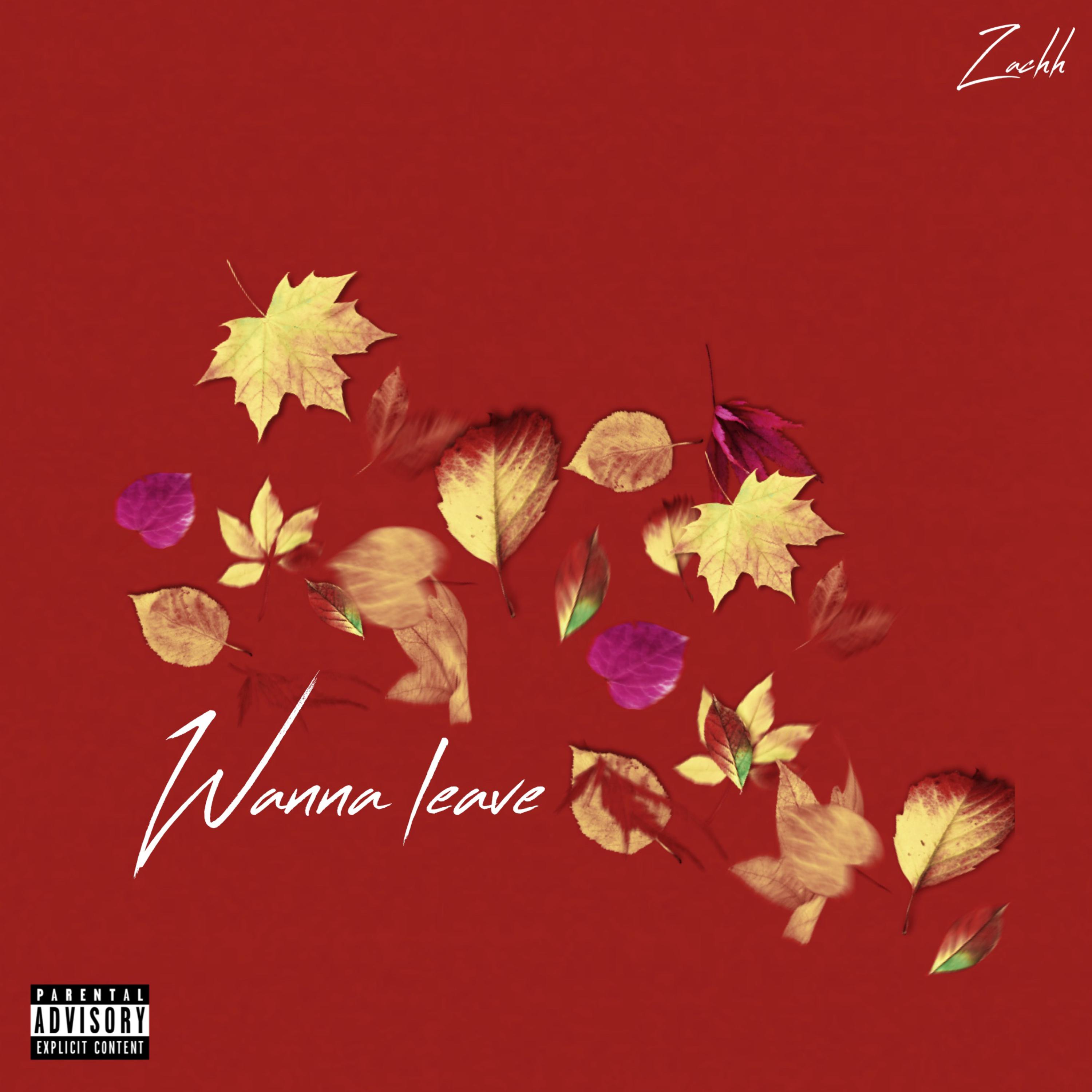 Wanna Leave artwork