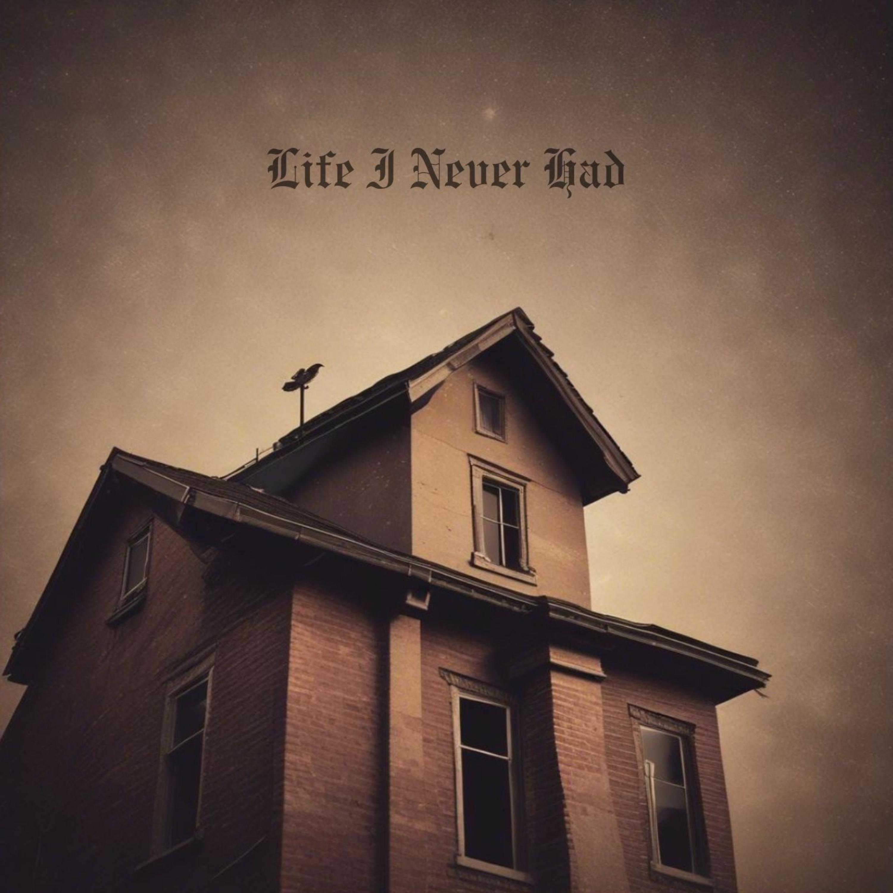 Life I Never Had artwork