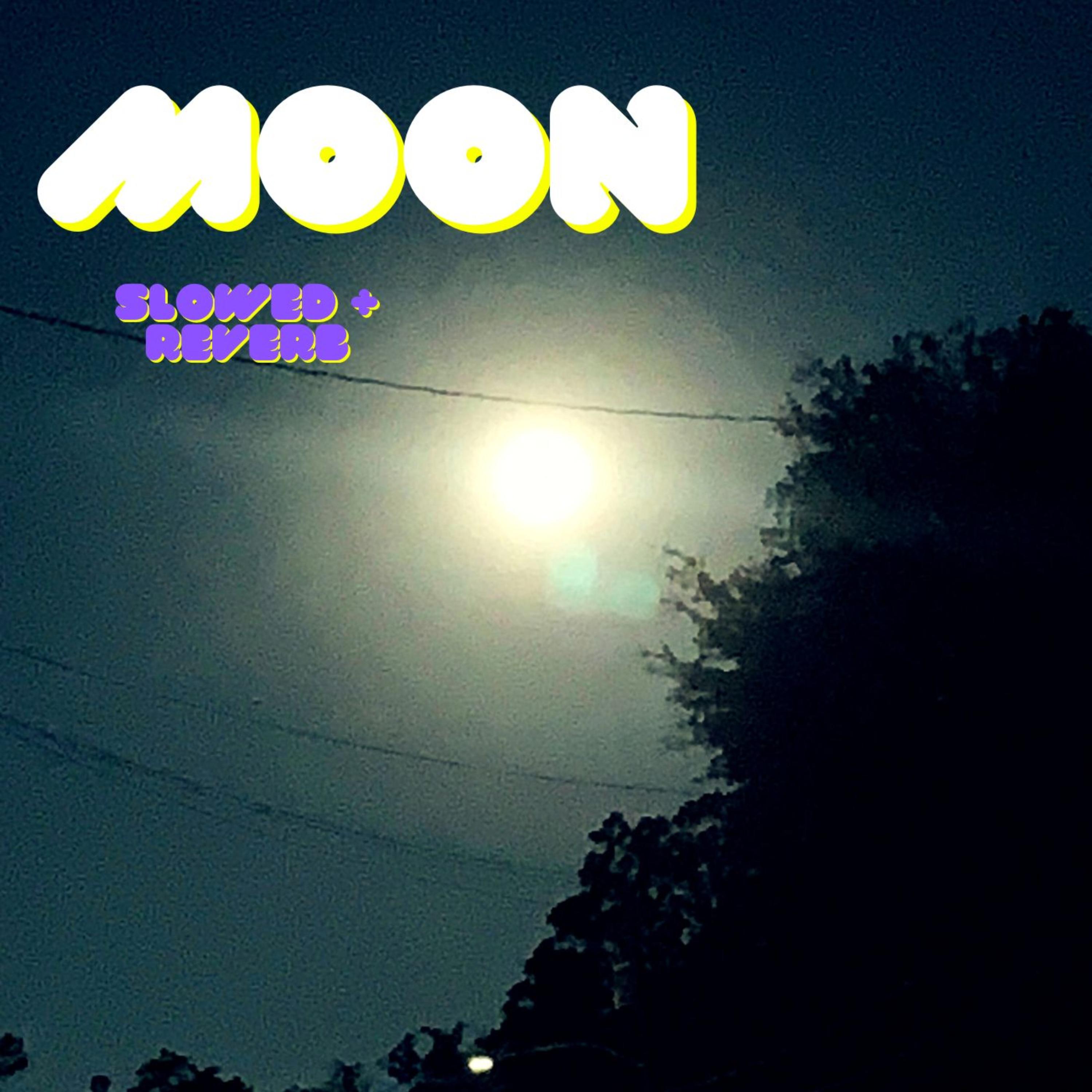 Moon (Slowed+Reverb) artwork