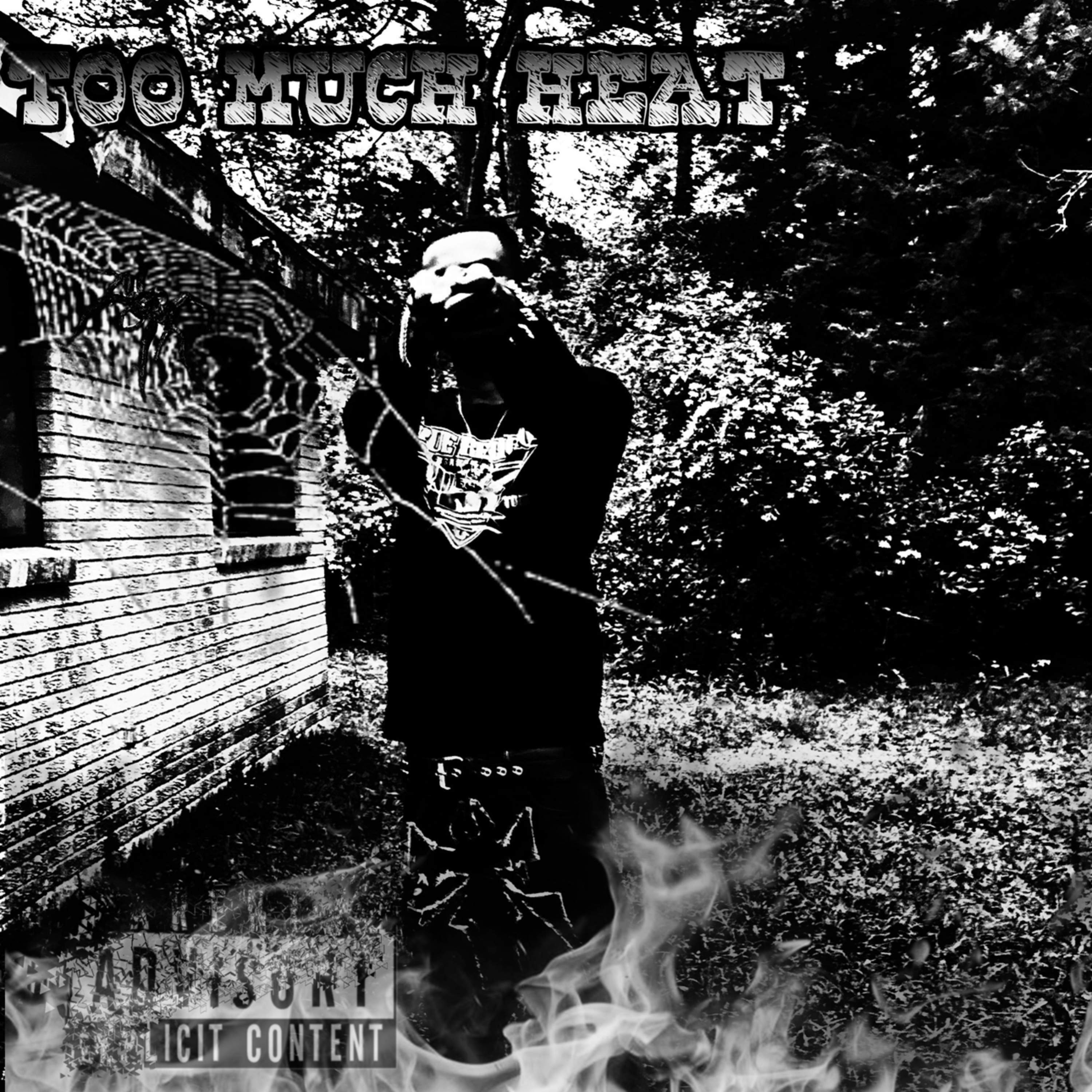 Too Much Heat artwork