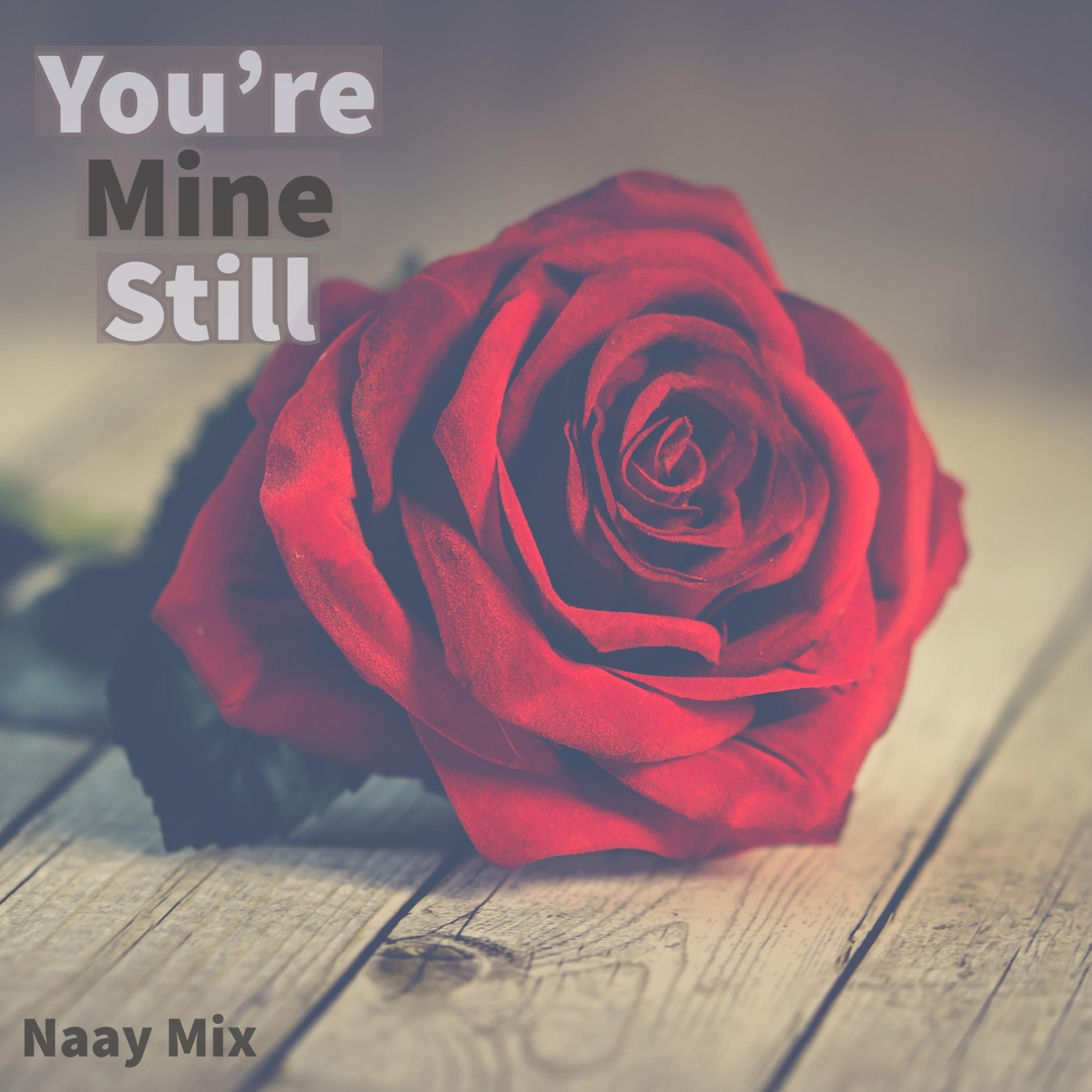 You're Mine Still (Naay Mix) by Naay Baybee cover art