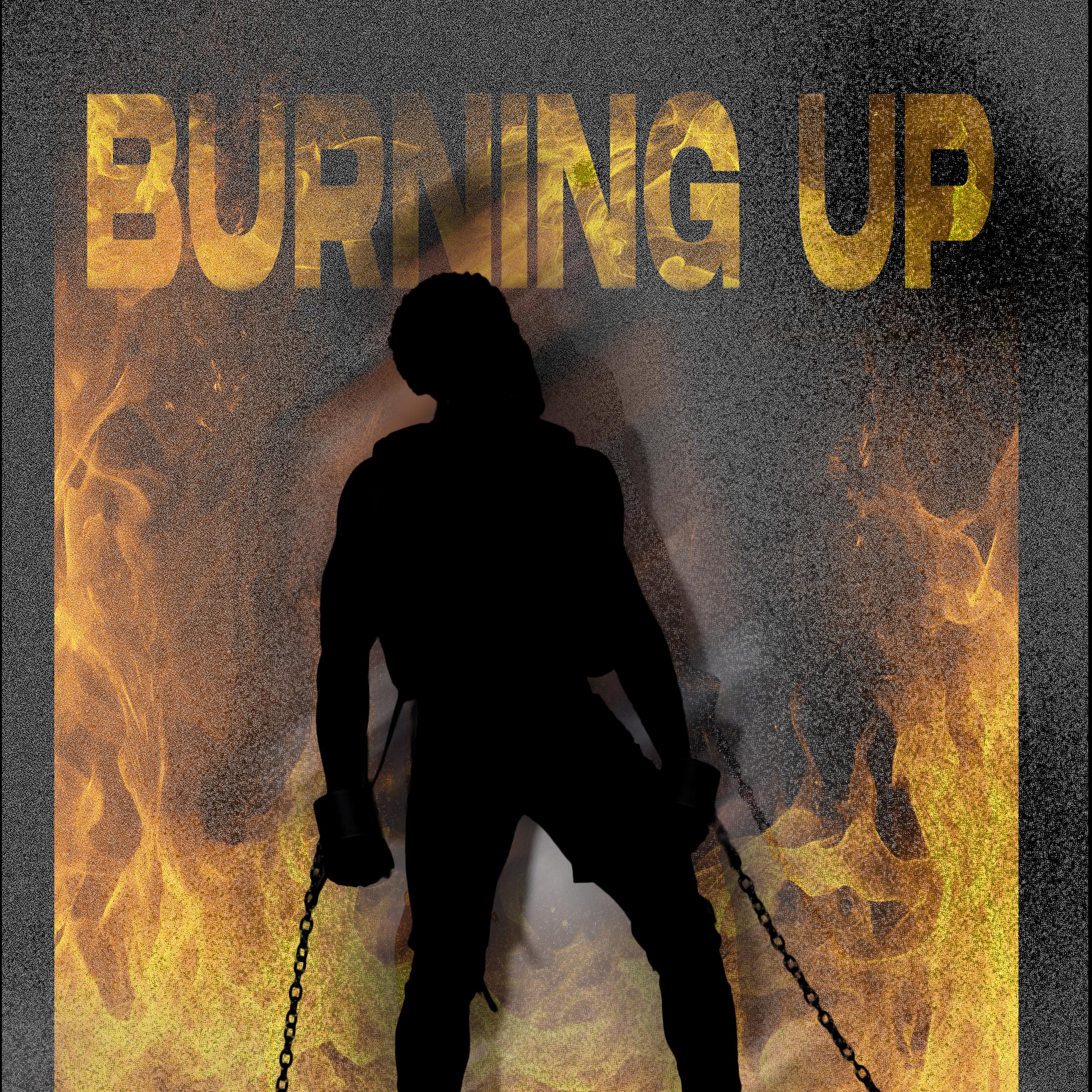 BURNING UP by Larry Roze cover art