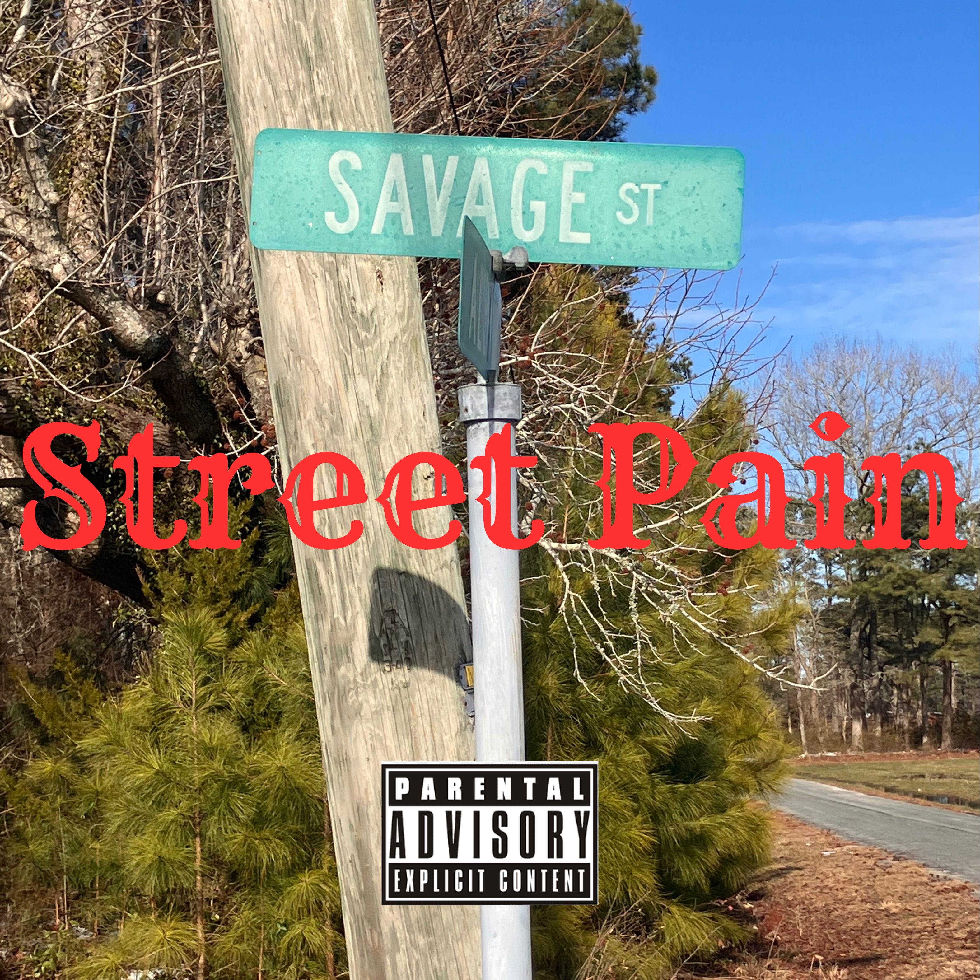 Street Pain artwork