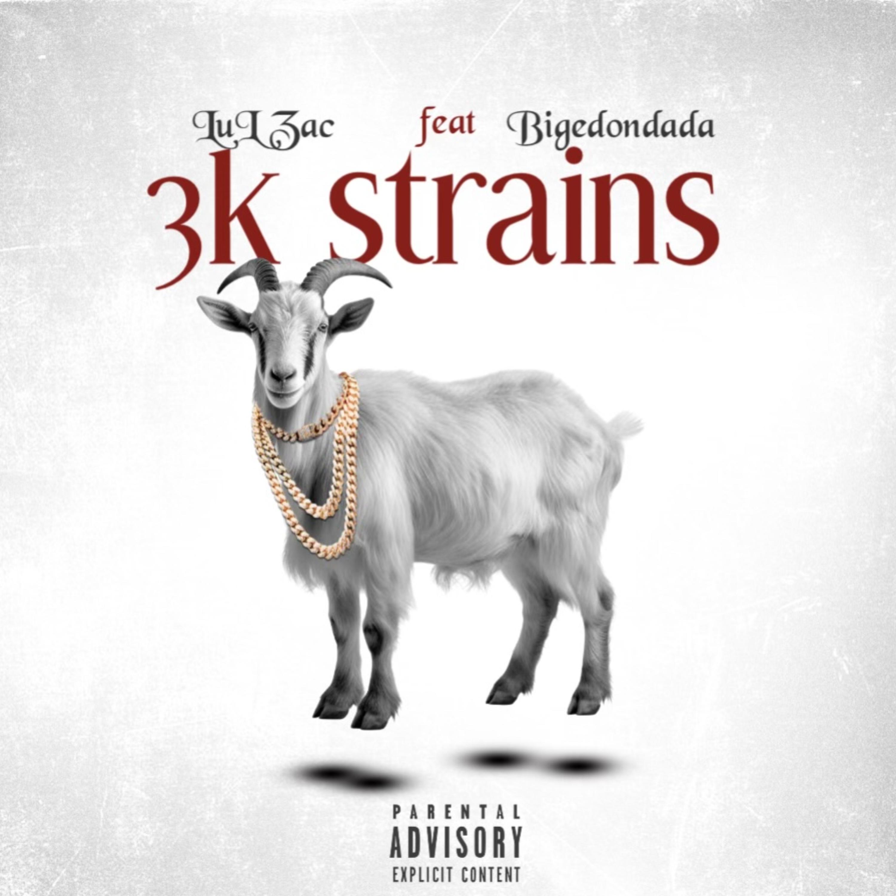 3k strains by zayflockin cover art