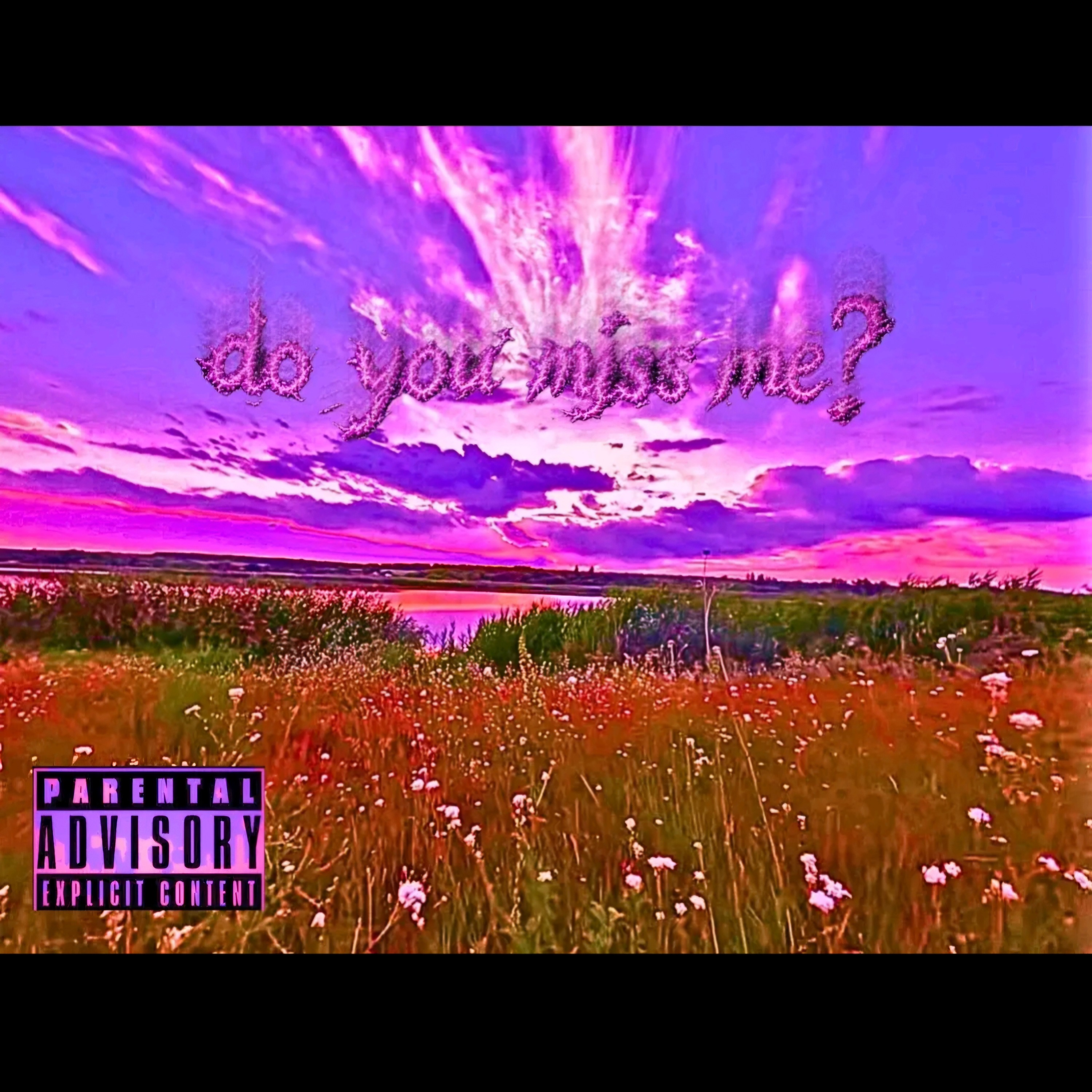 Do You Miss Me‽ by SparkEEtup cover art