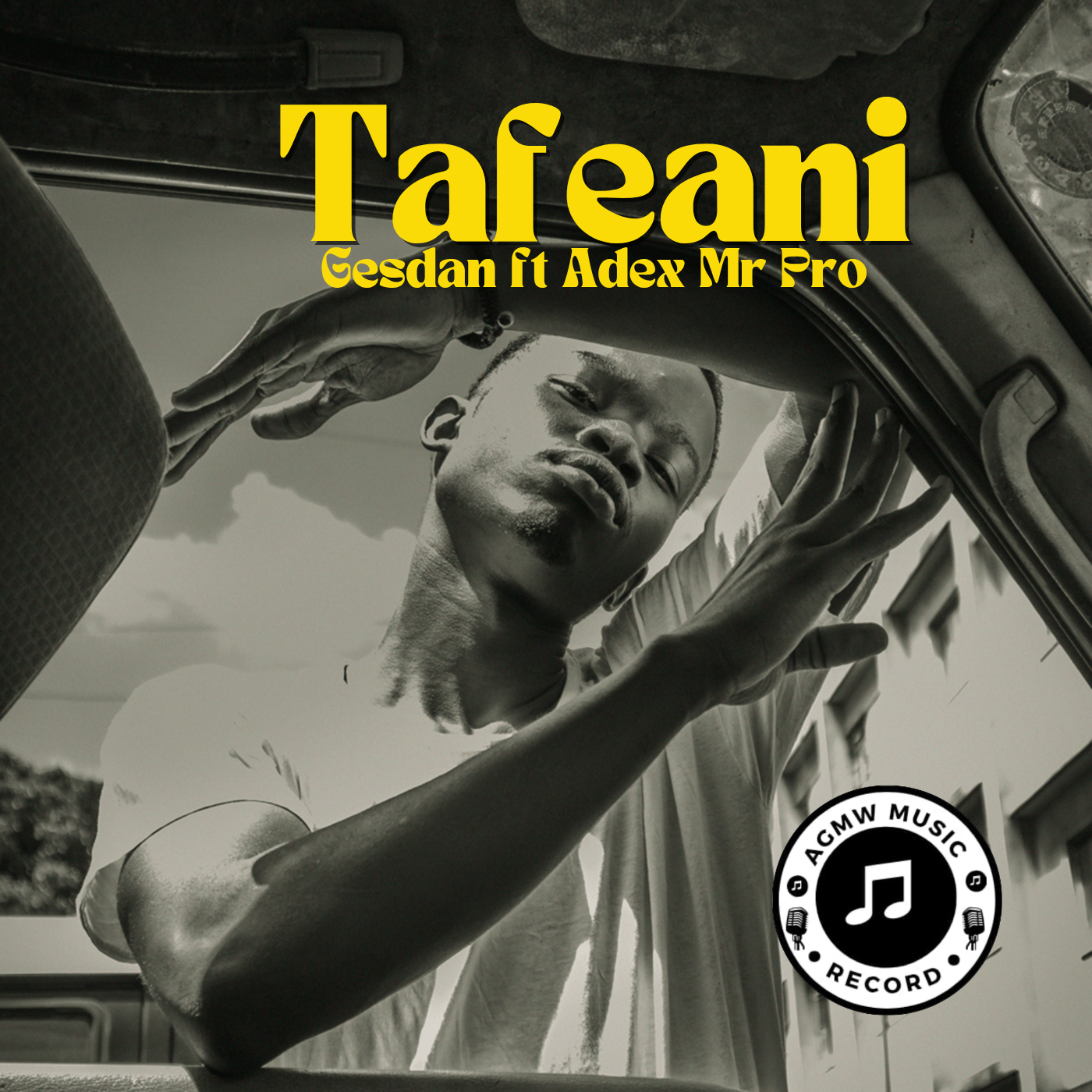 Tafeani artwork