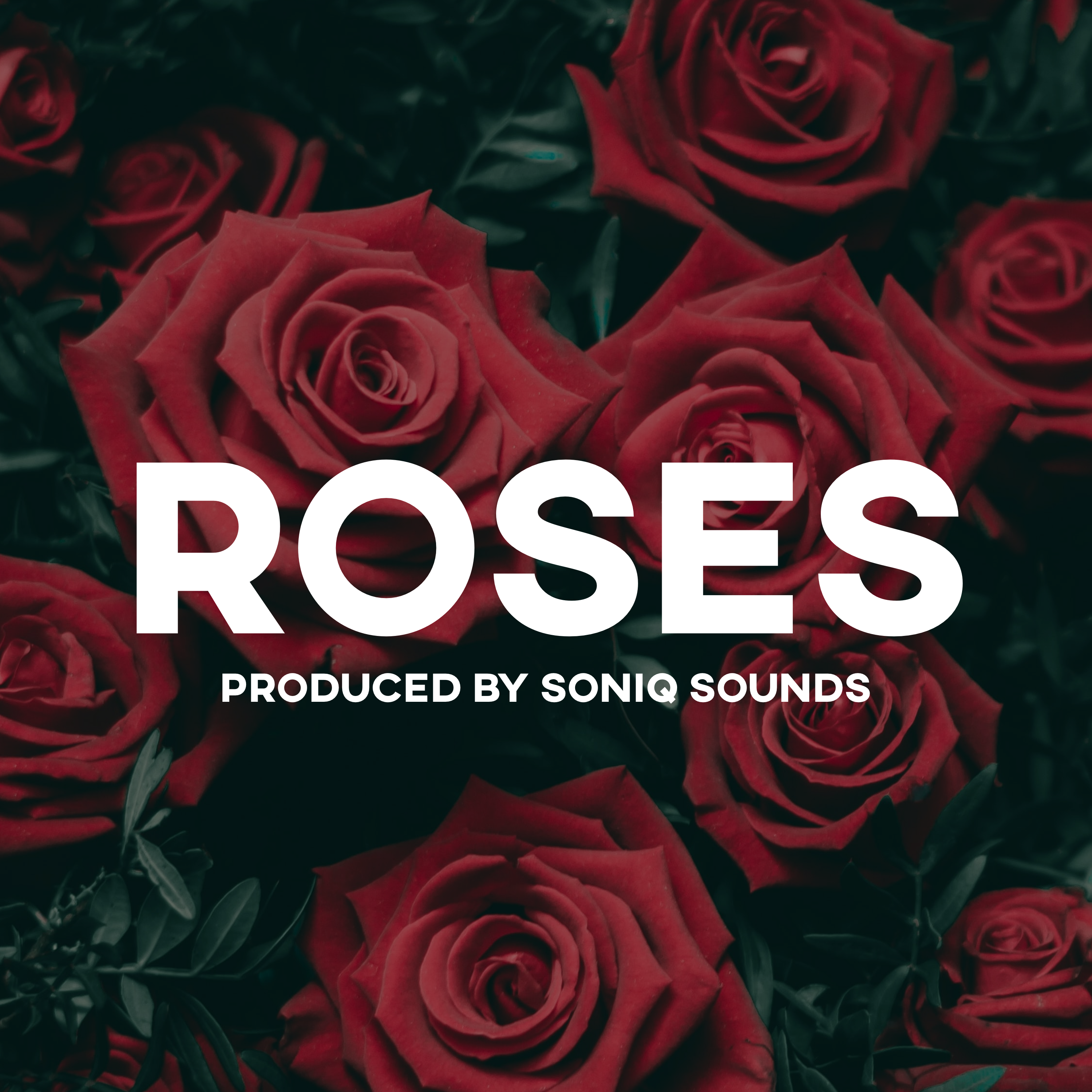 Roses (Dancehall Afrobeat Instrumental) artwork