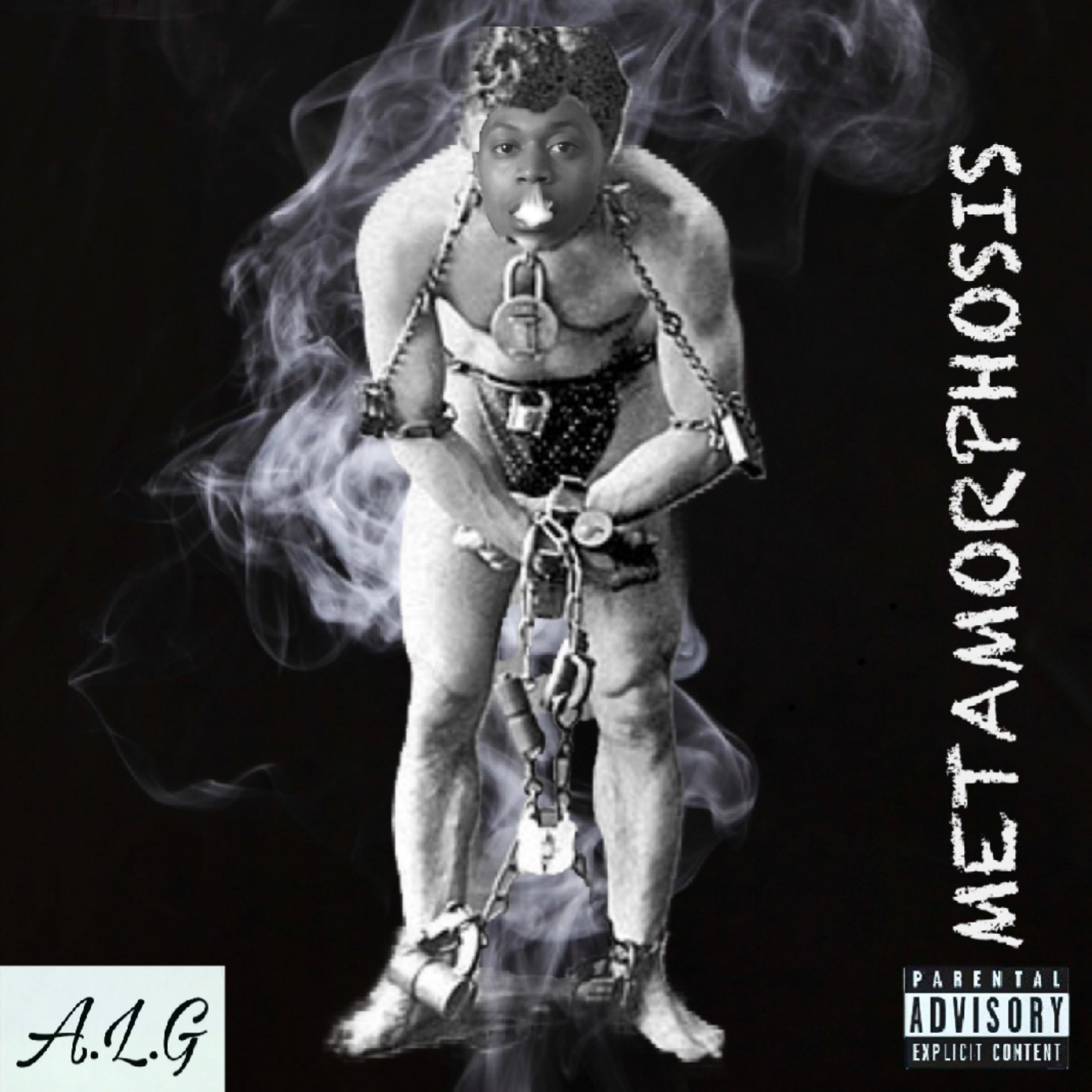 Metamorphosis artwork