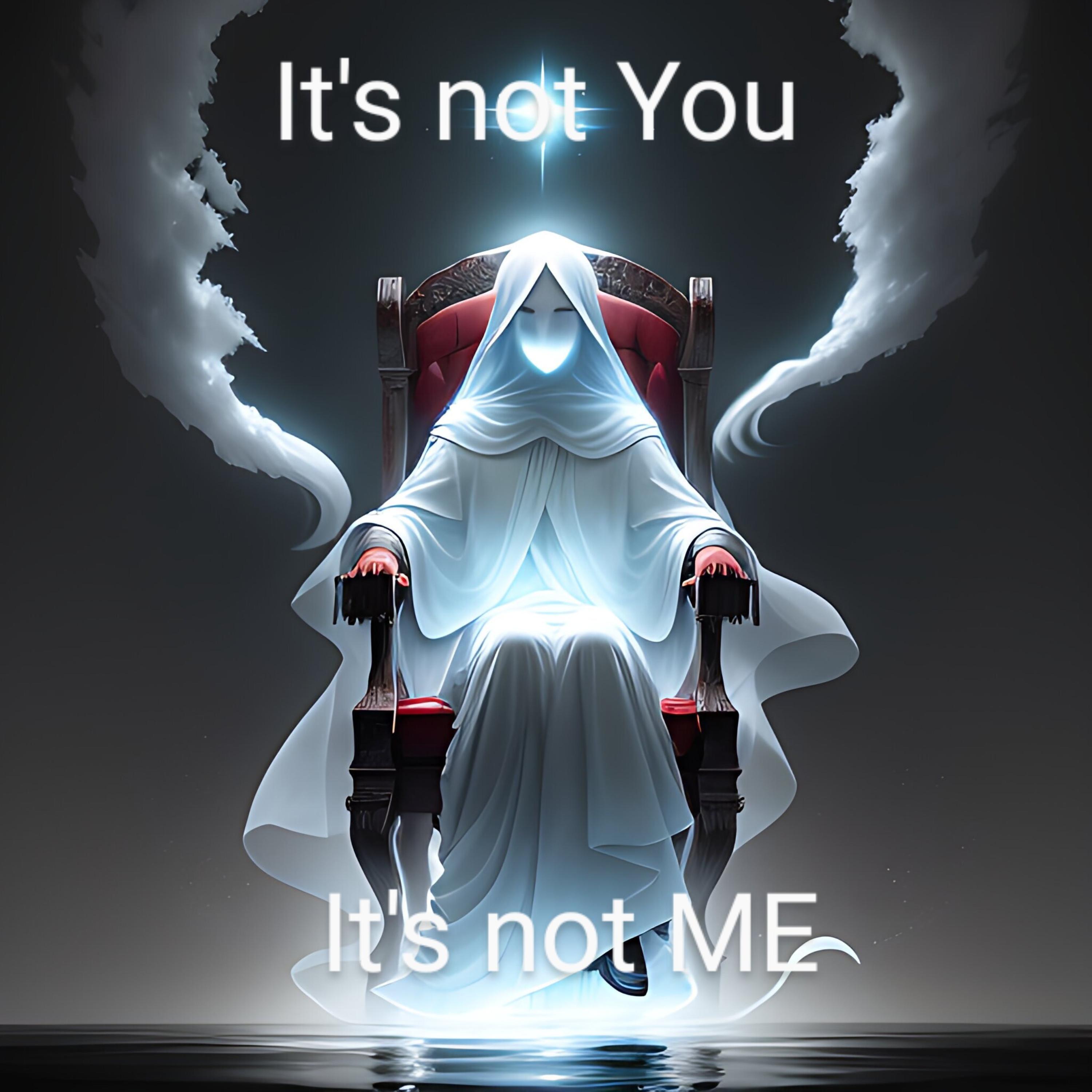 it's not YOU It's not ME artwork