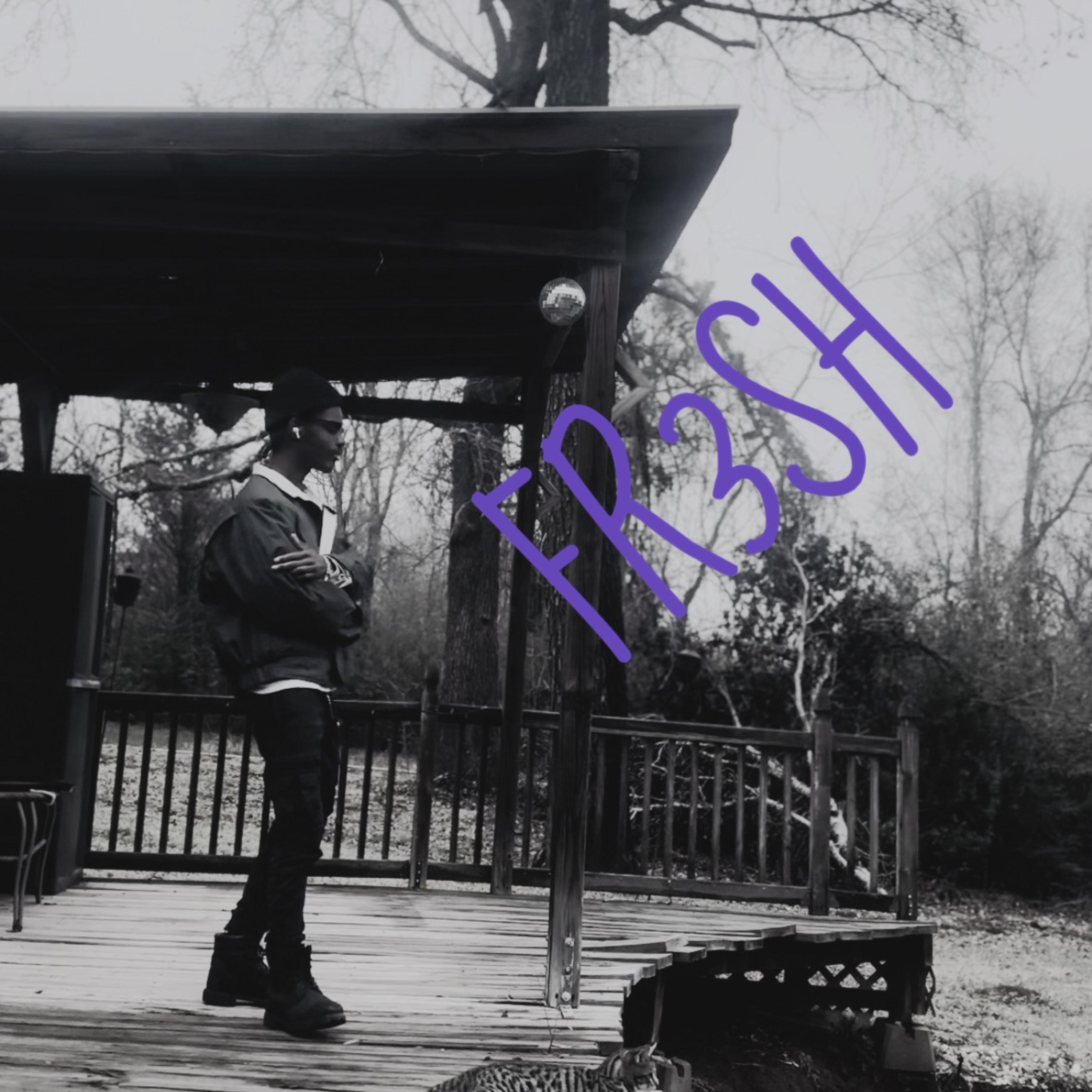FR3SH artwork