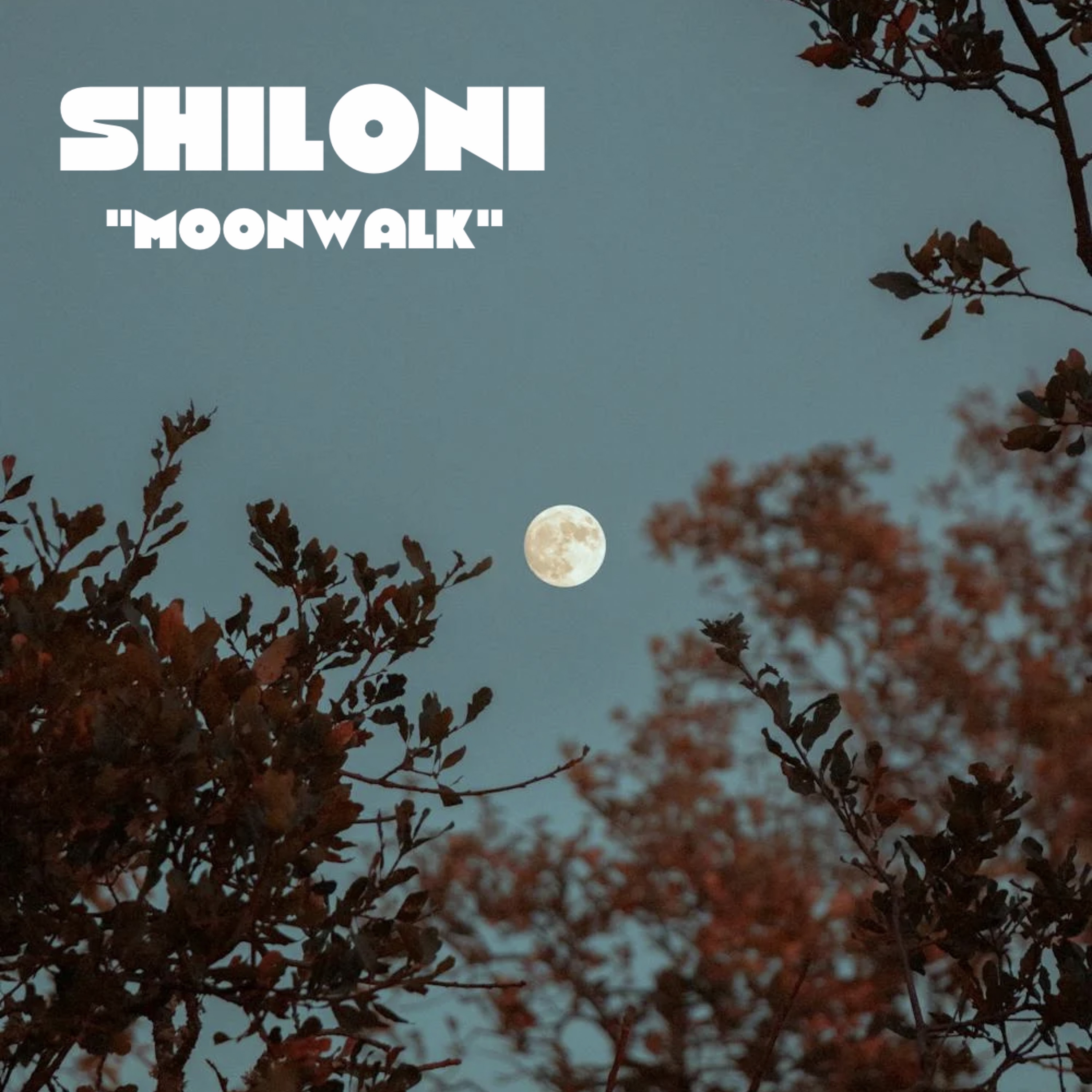 Moonwalk artwork