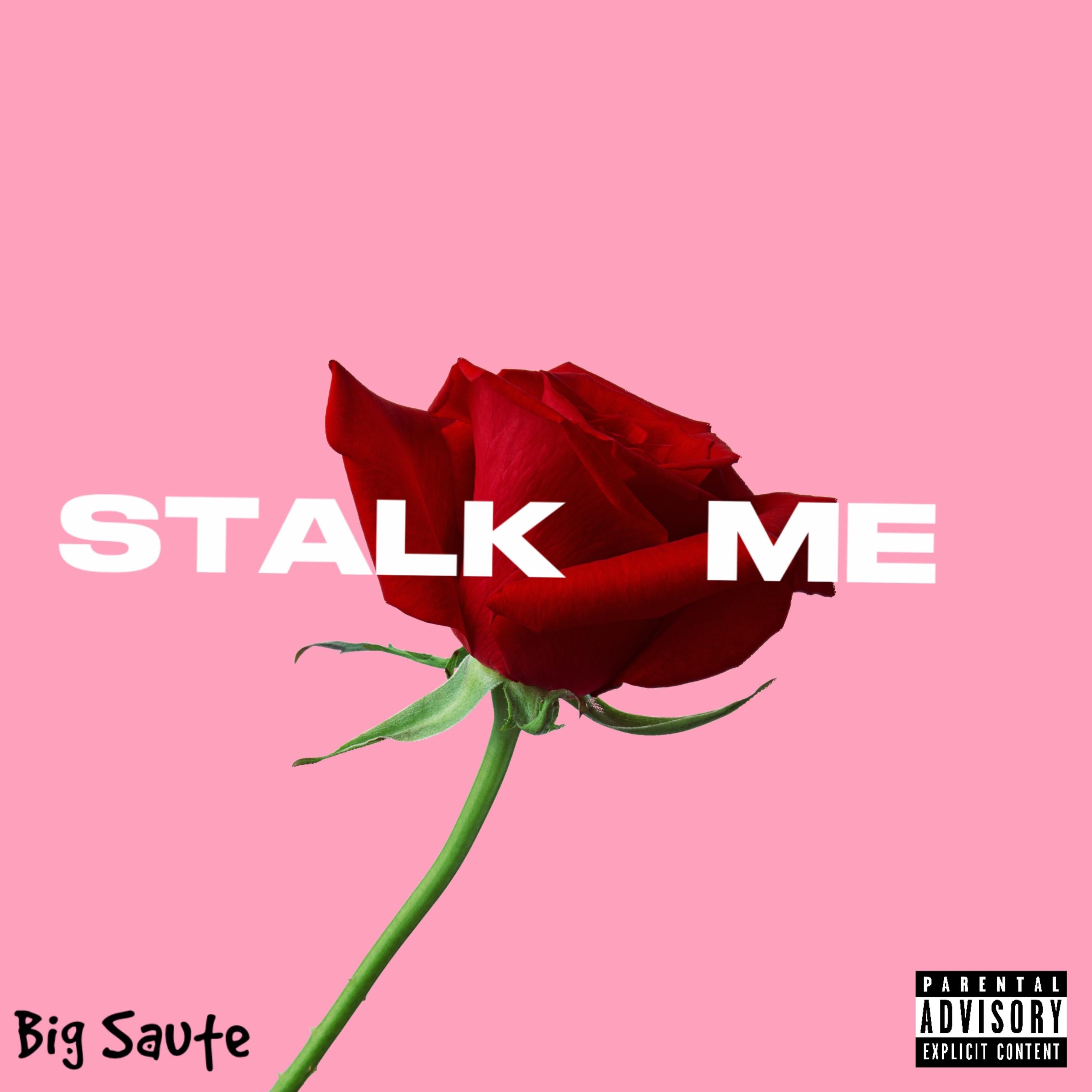 Stalk Me artwork