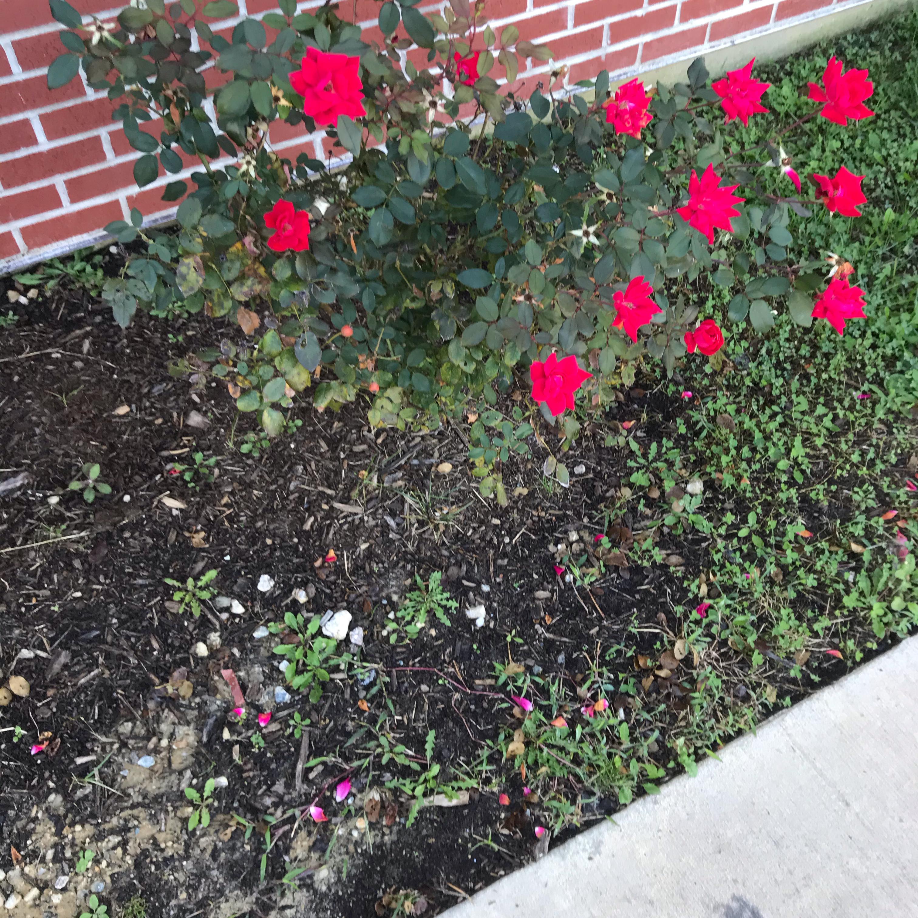 Greatest Storm artwork