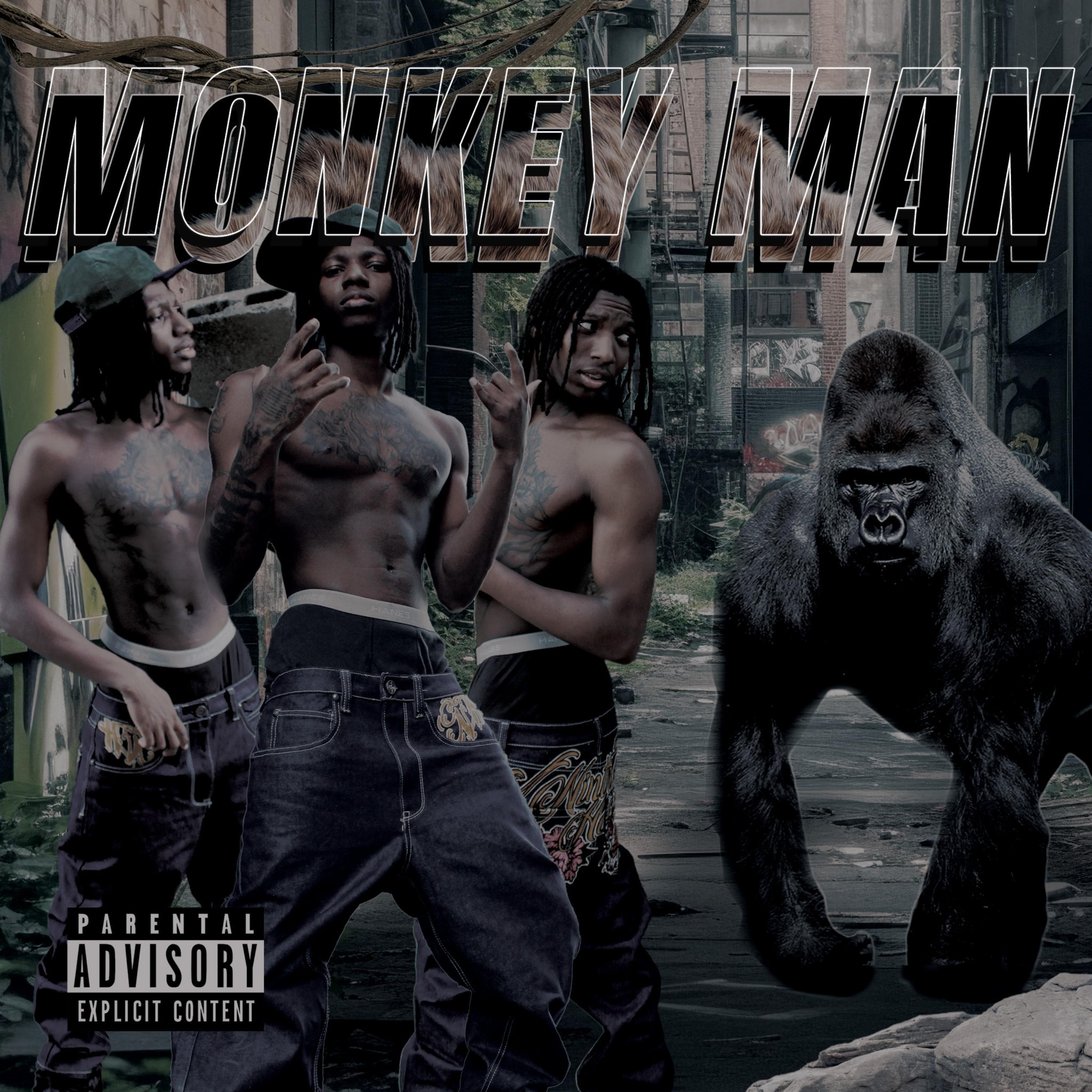 Monkey Man artwork