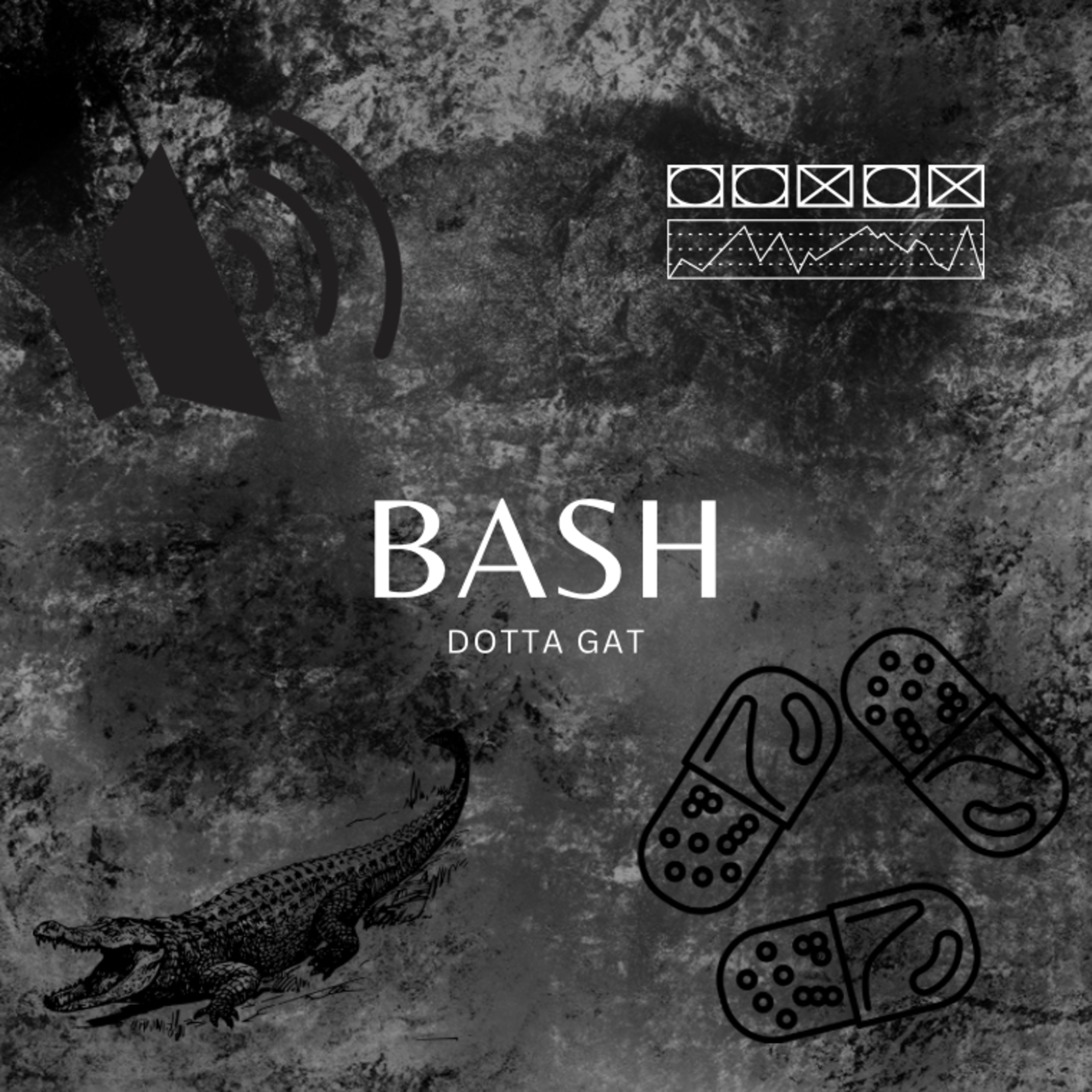 BASH artwork