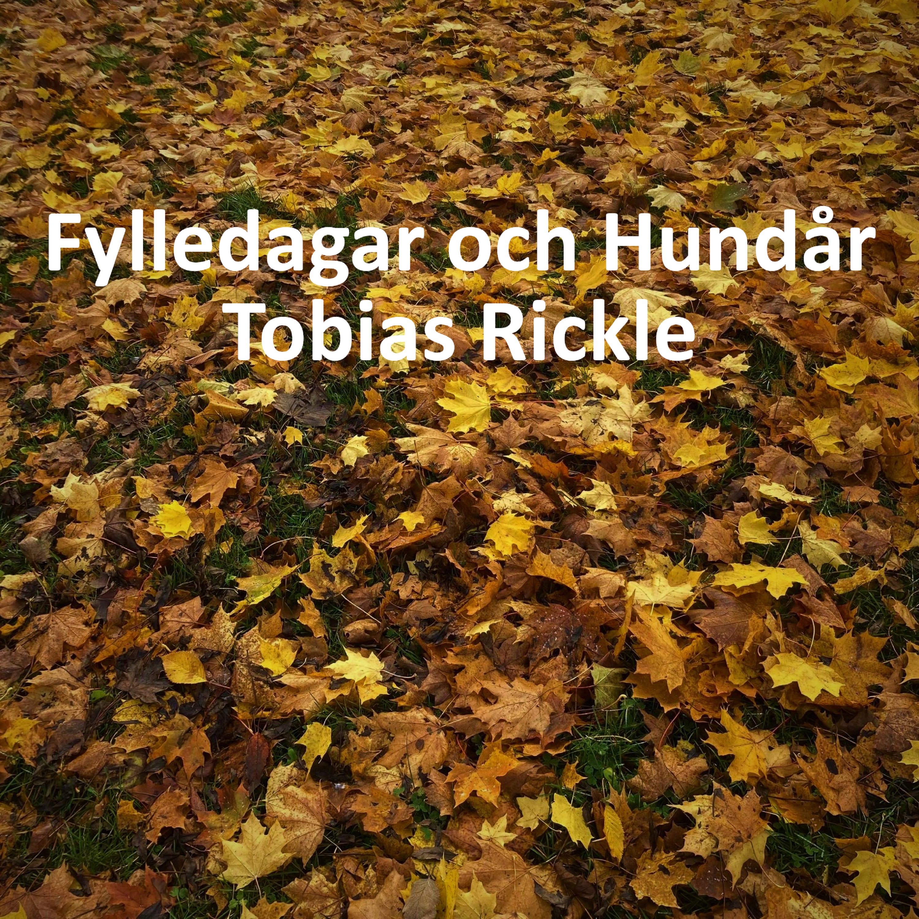 Fylledagar och Hundår artwork