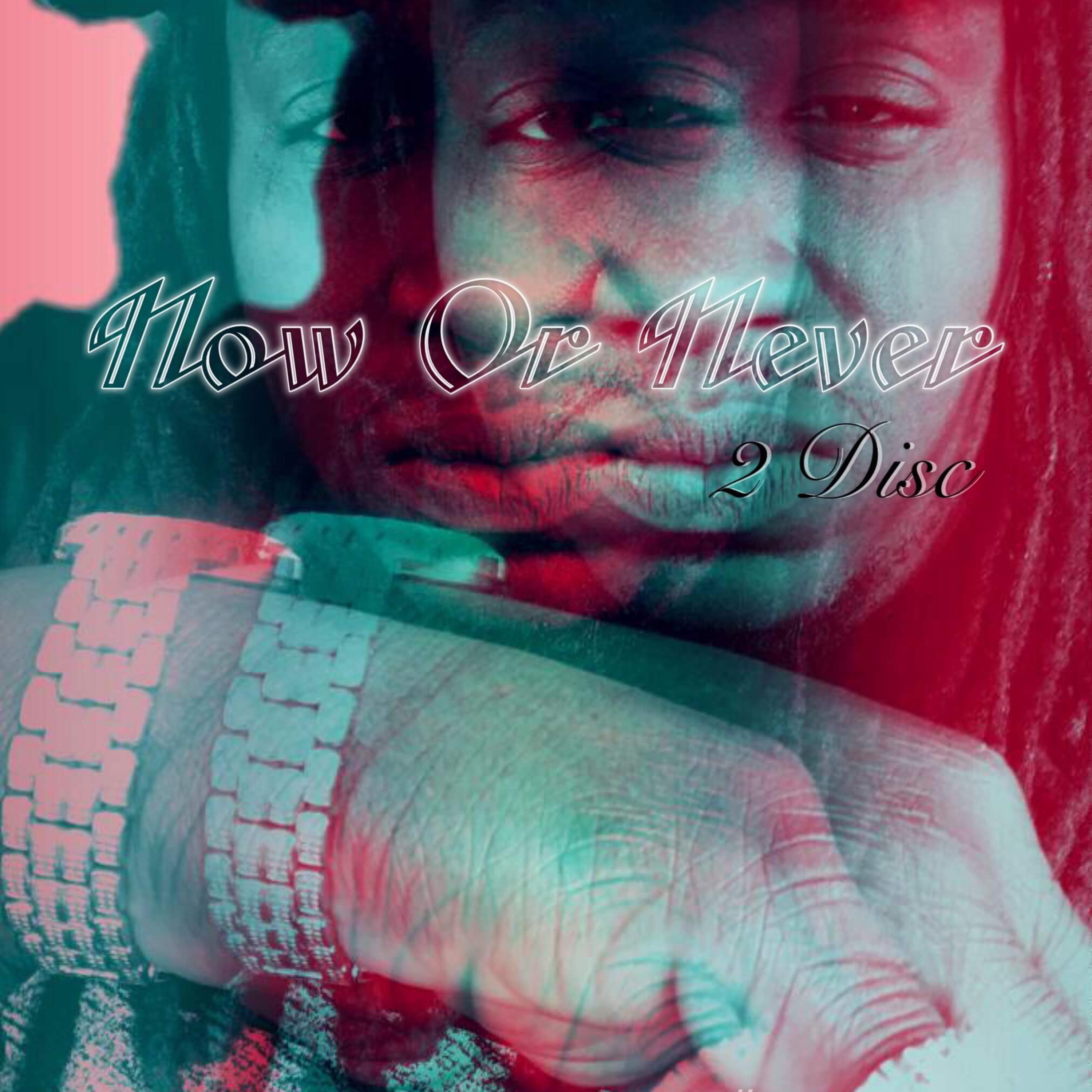 Now Or Never {Never LP} artwork