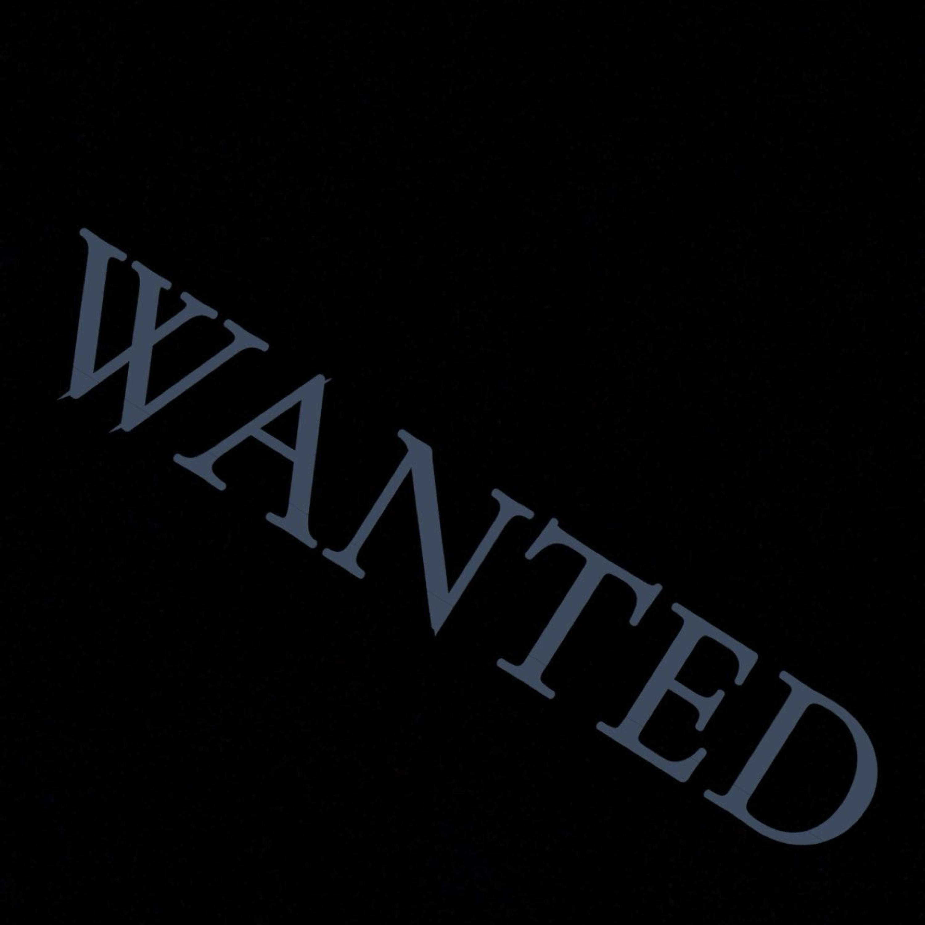 WANTED artwork