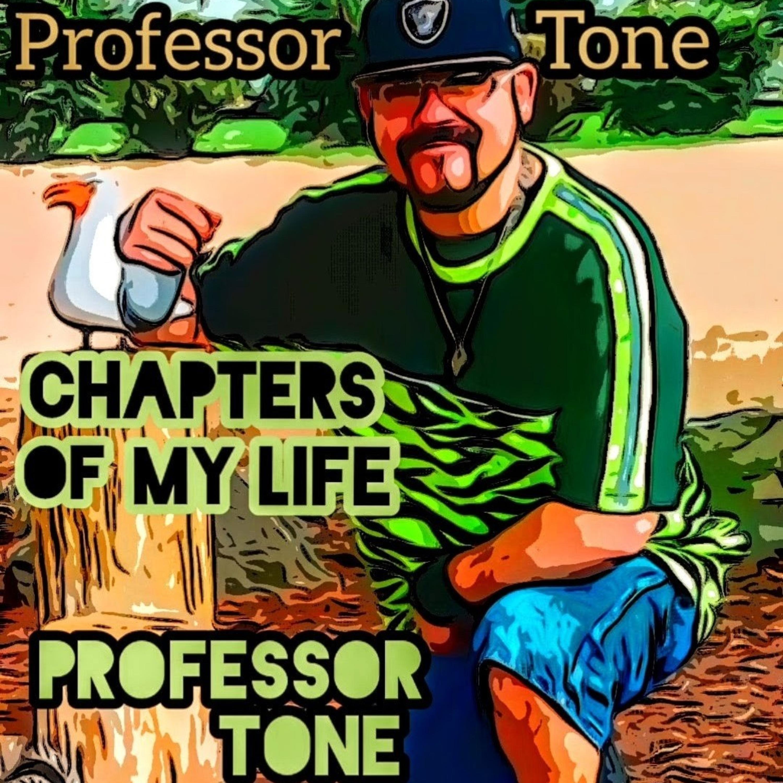 Chapters  Of  My  Life artwork
