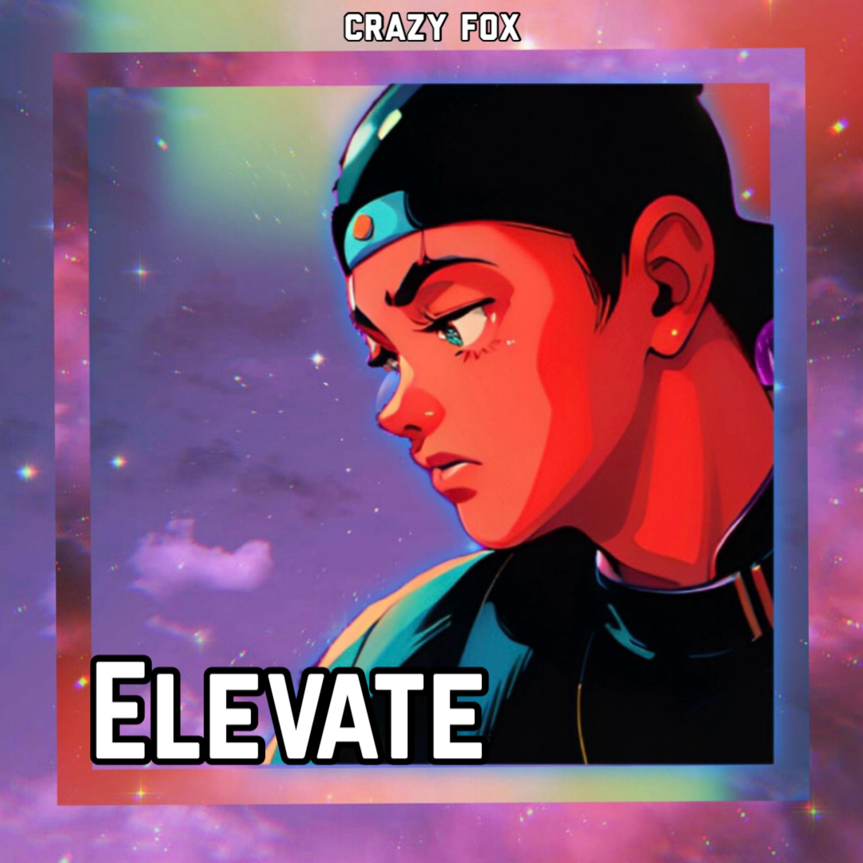 Elevate artwork