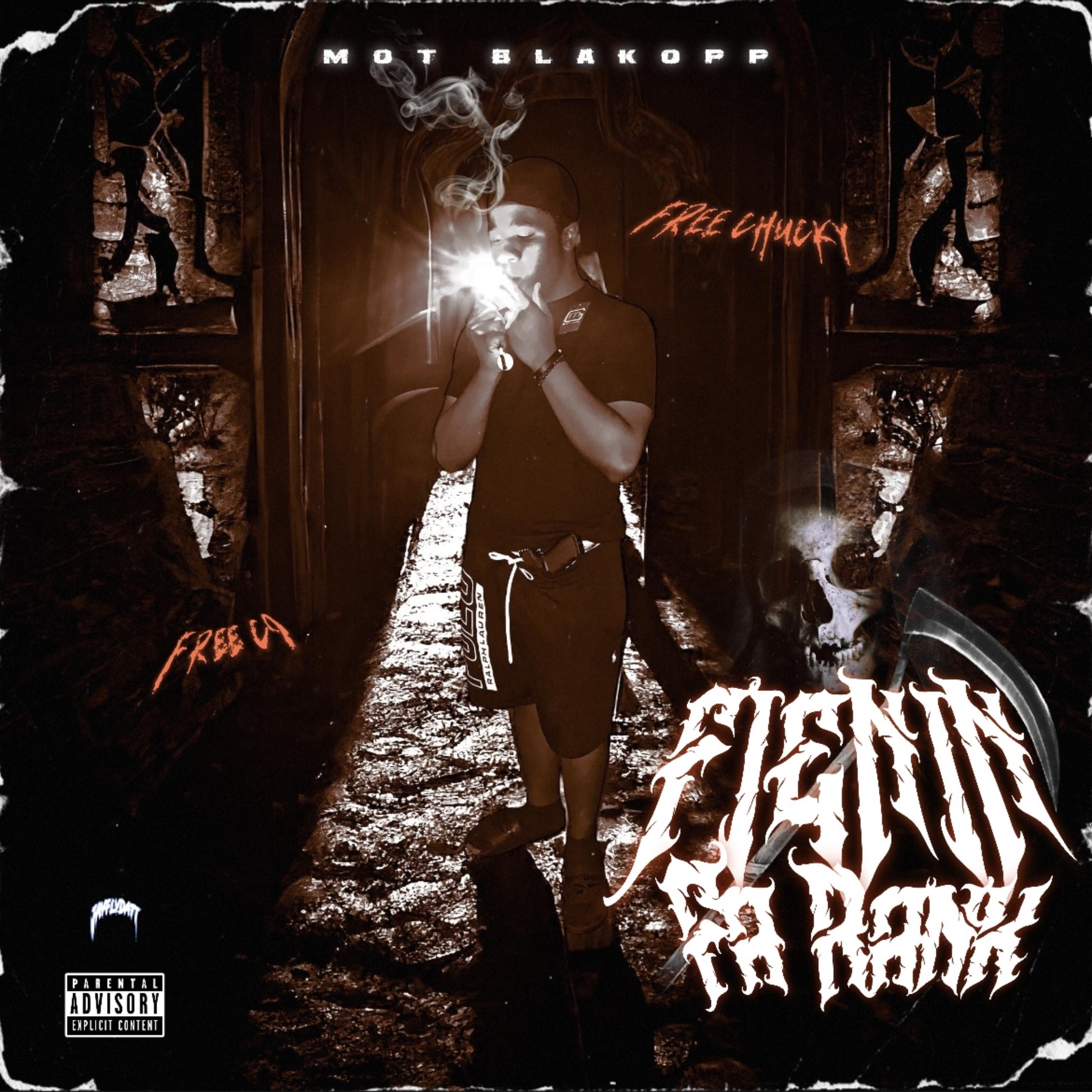 Feinin Fa Rank artwork