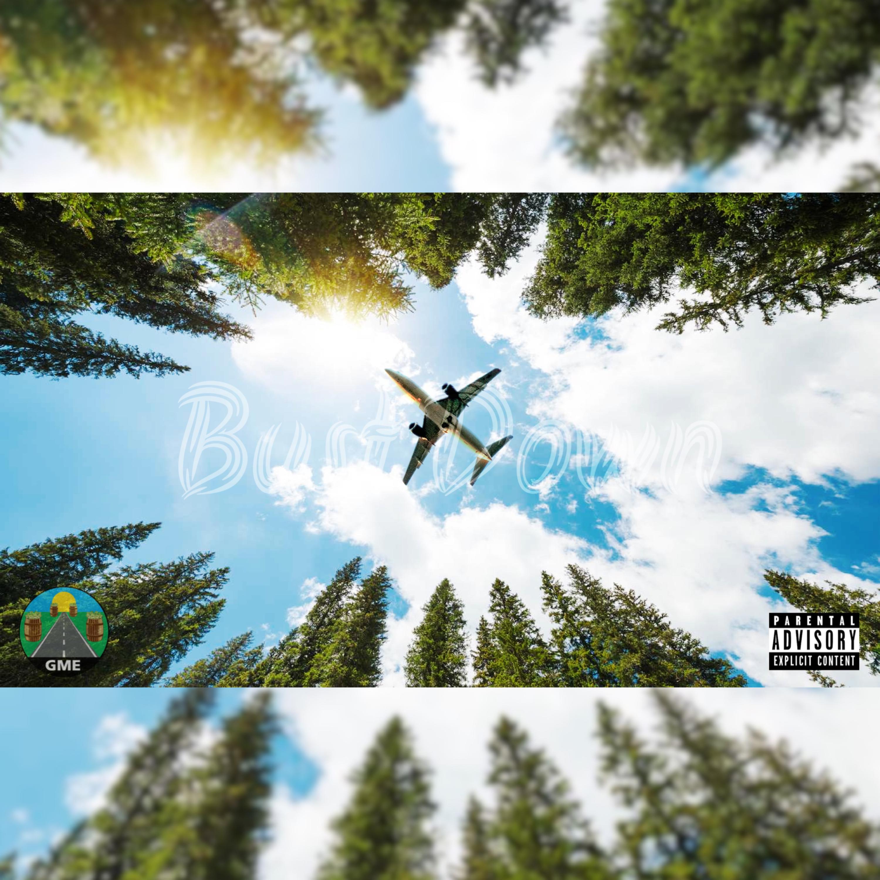 Bust Down artwork