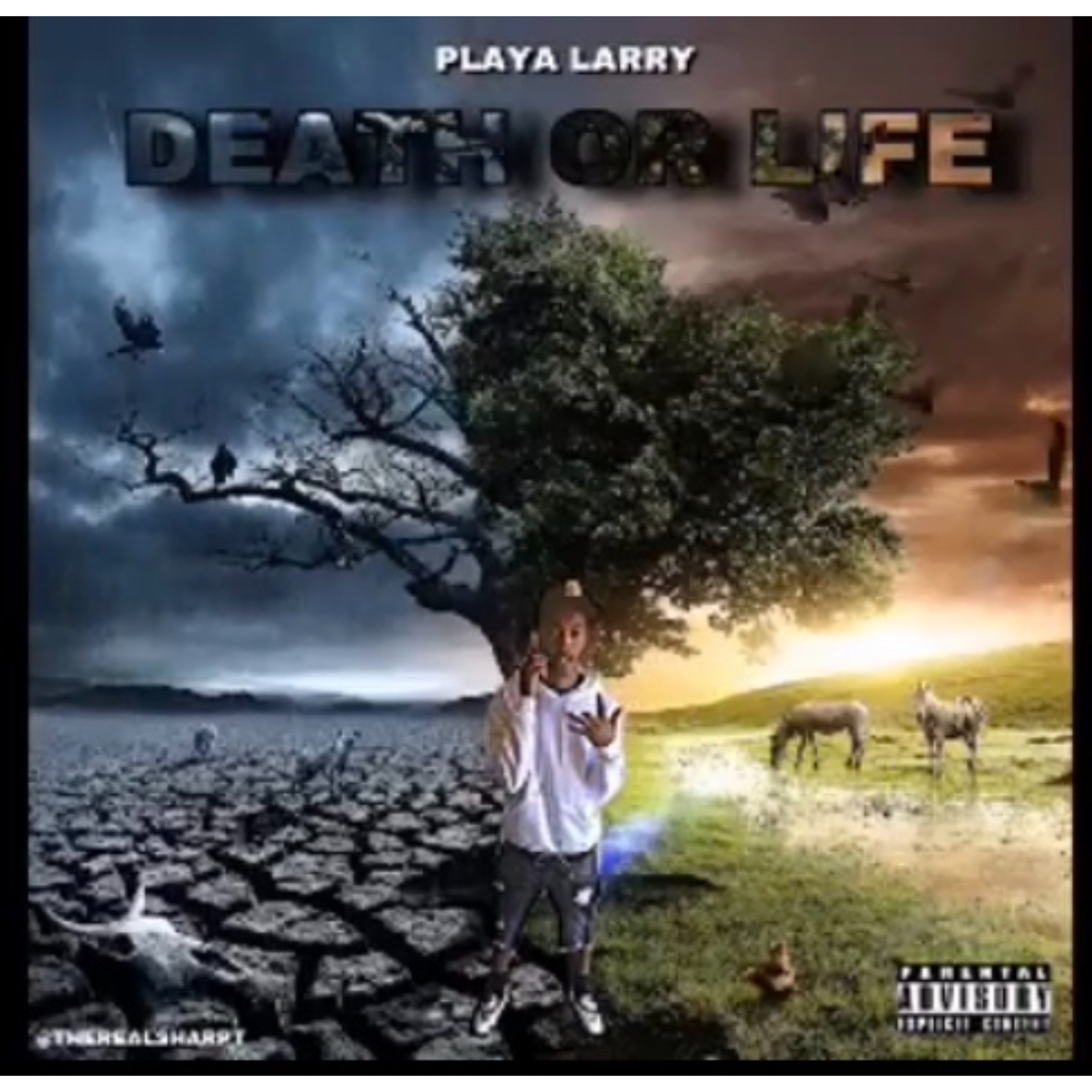 Life Or Death artwork