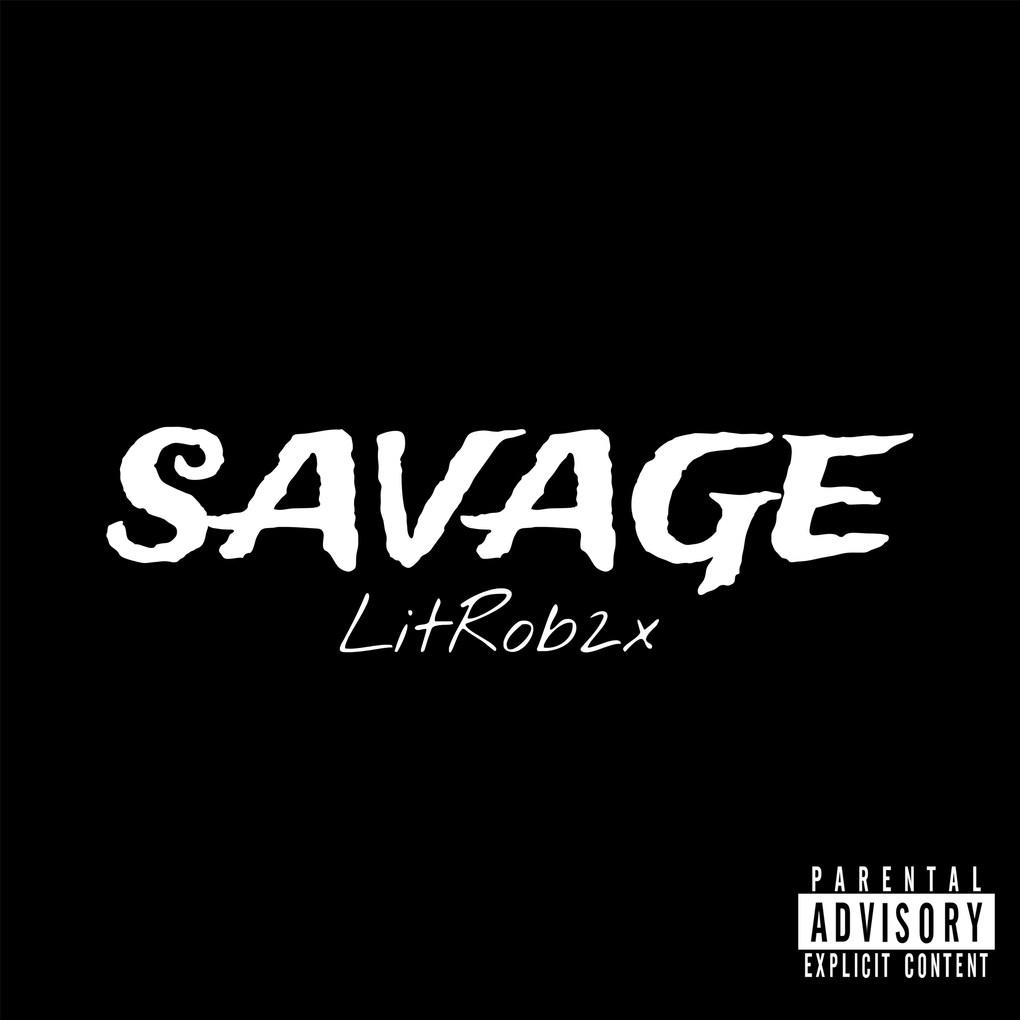 SAVAGE artwork