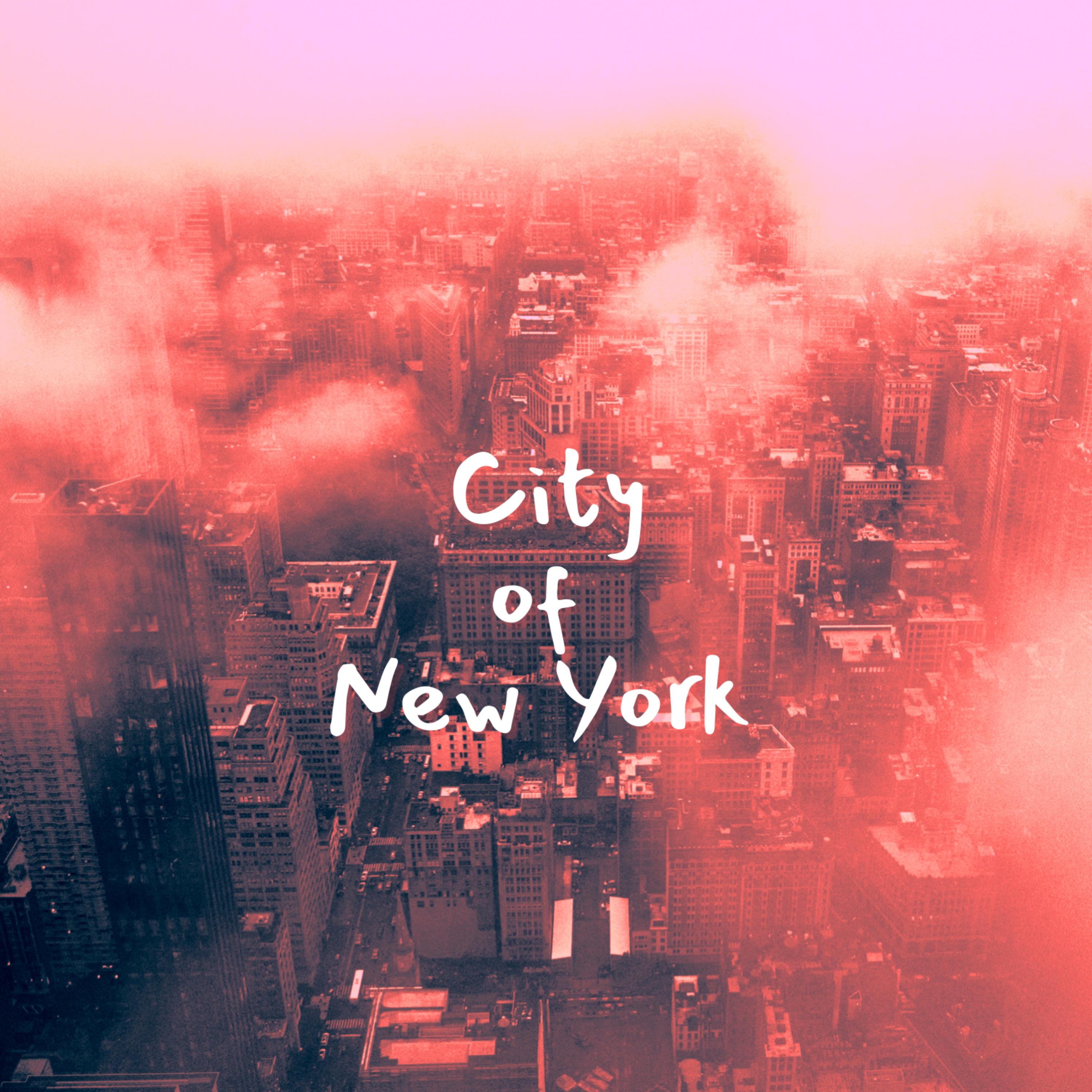 City of New York by Anweezy cover art