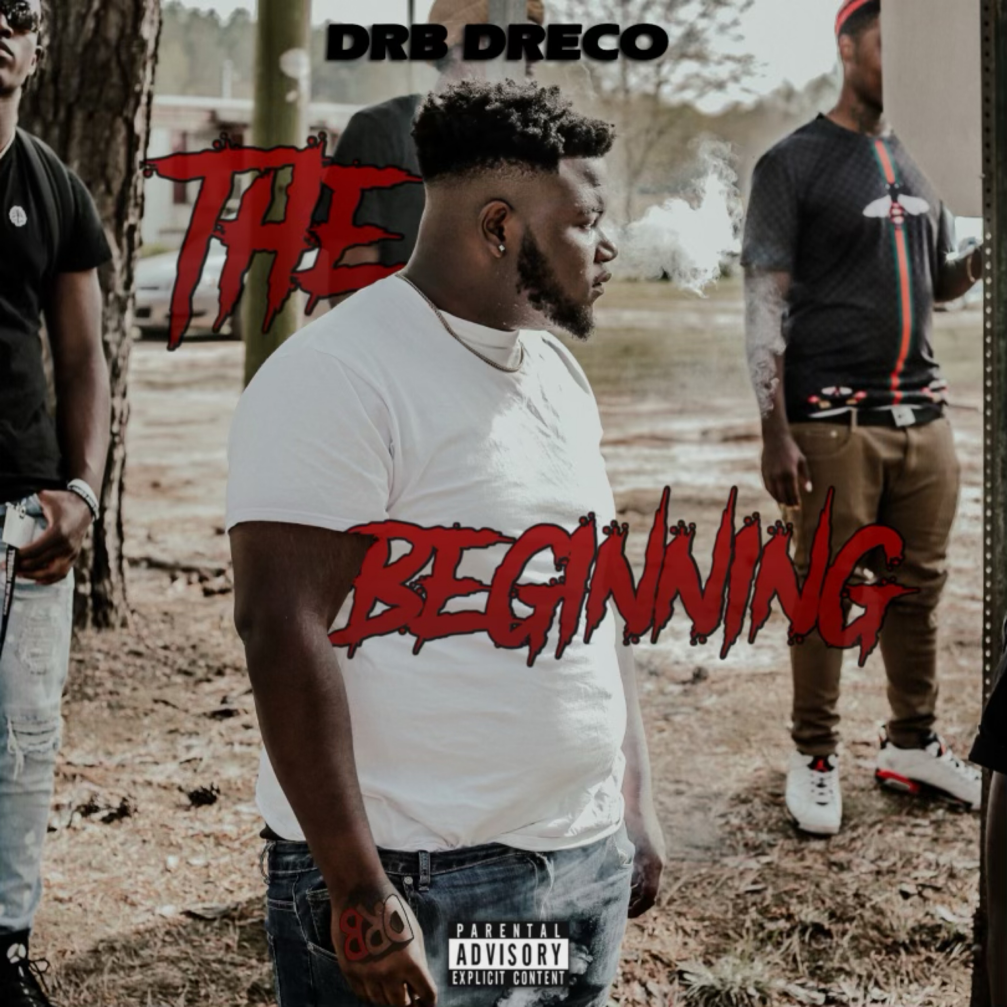 The Beginning artwork