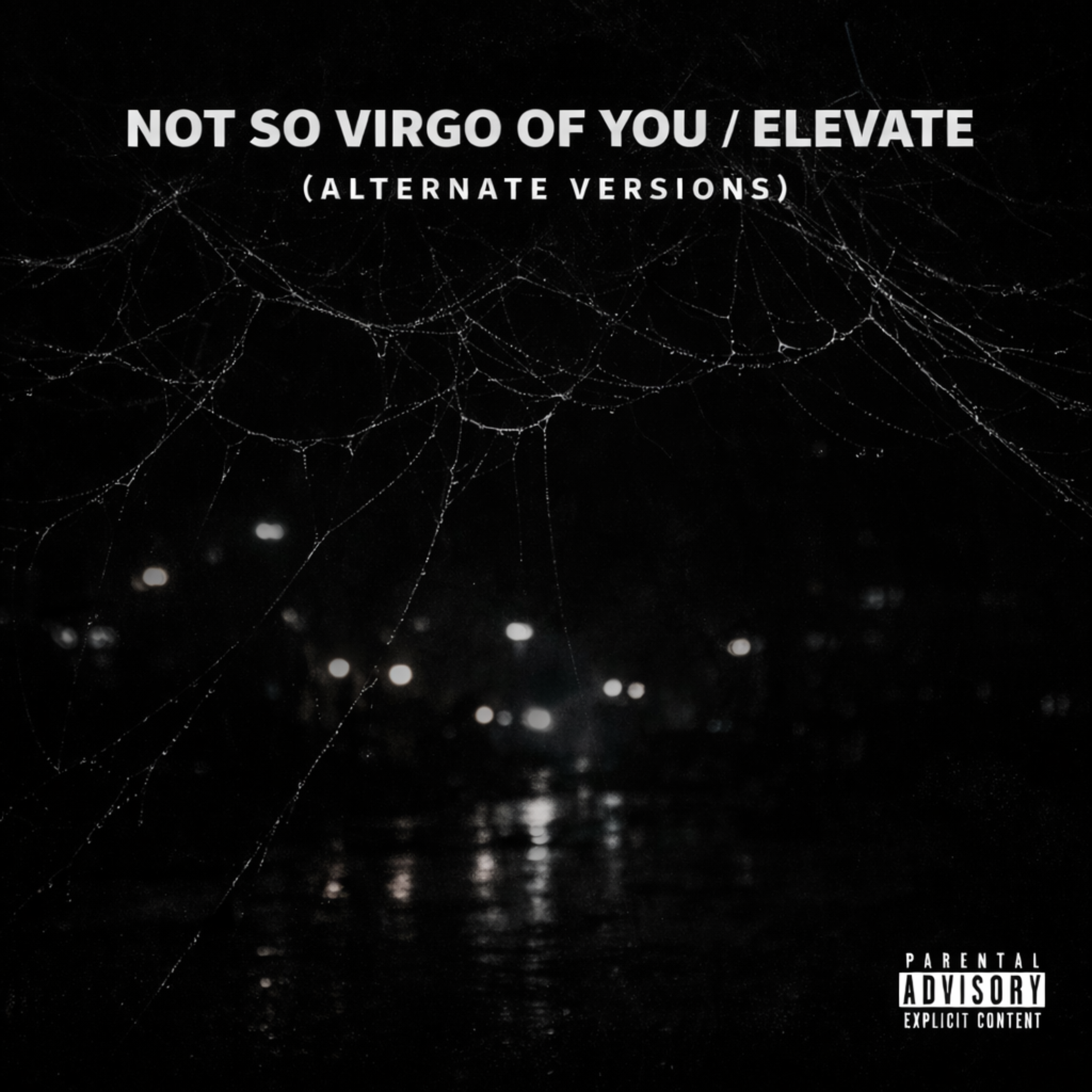 Not So Virgo Of You / Elevate (Alternate Versions) artwork