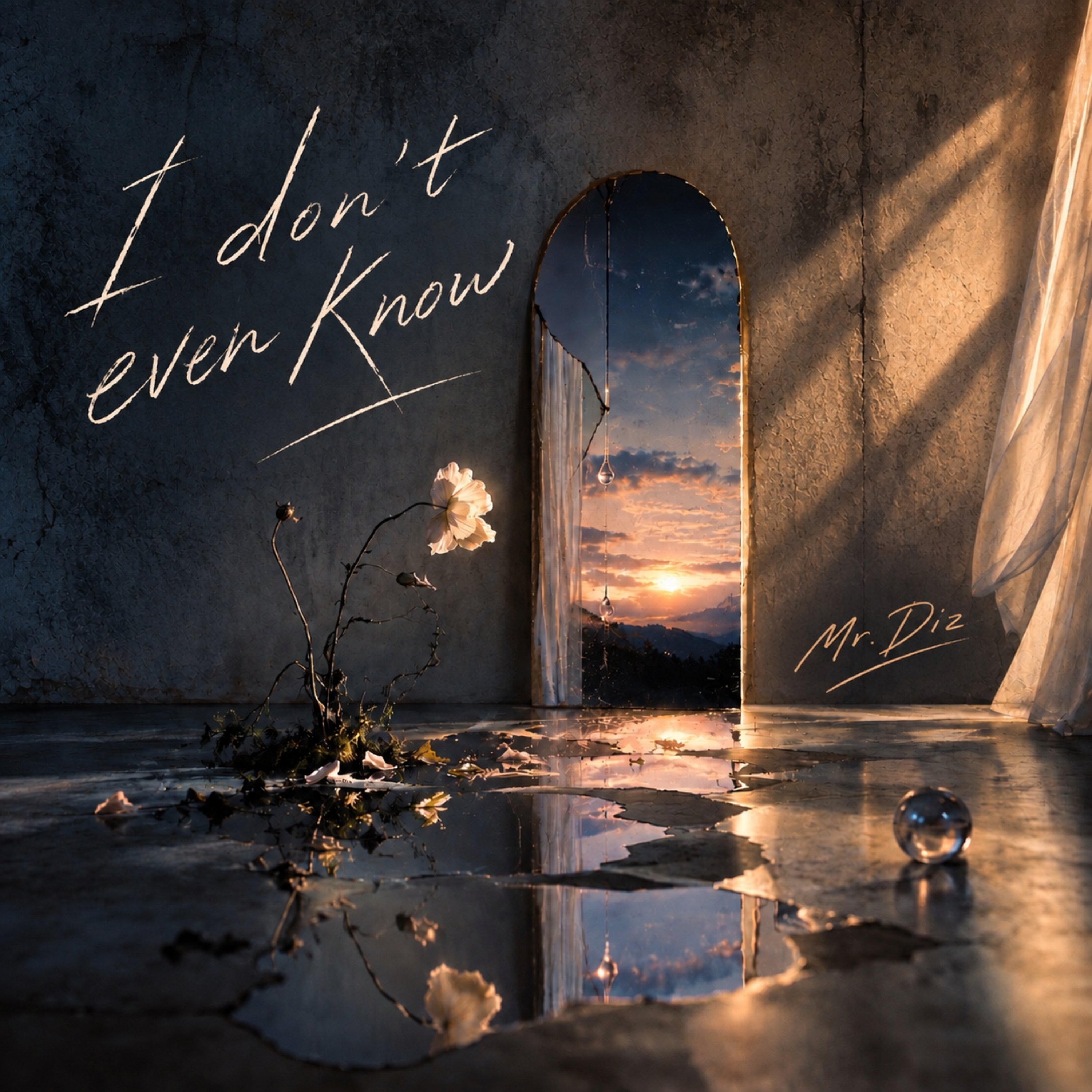 I don’t even know by Mr Diz cover art