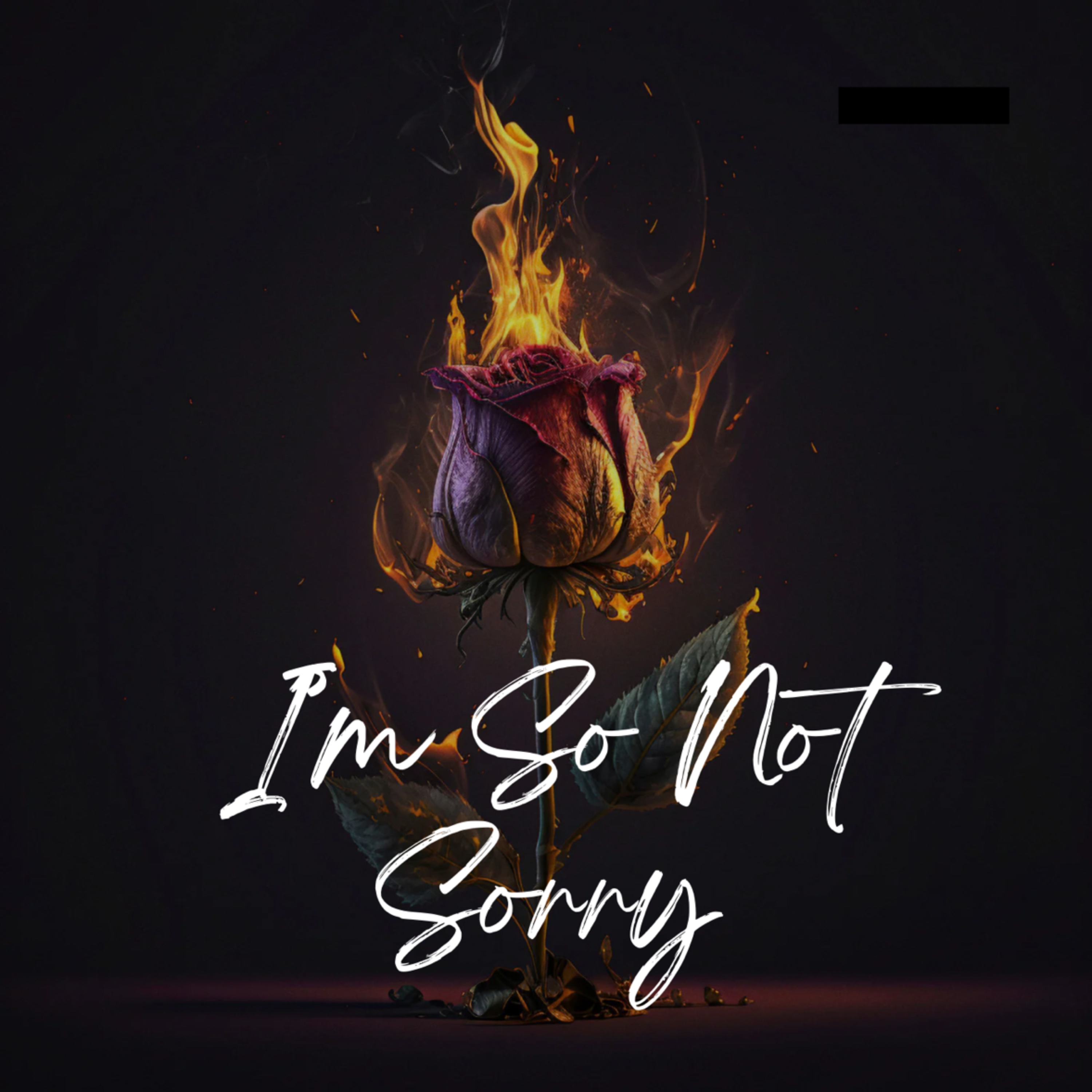 I’m So Not Sorry artwork