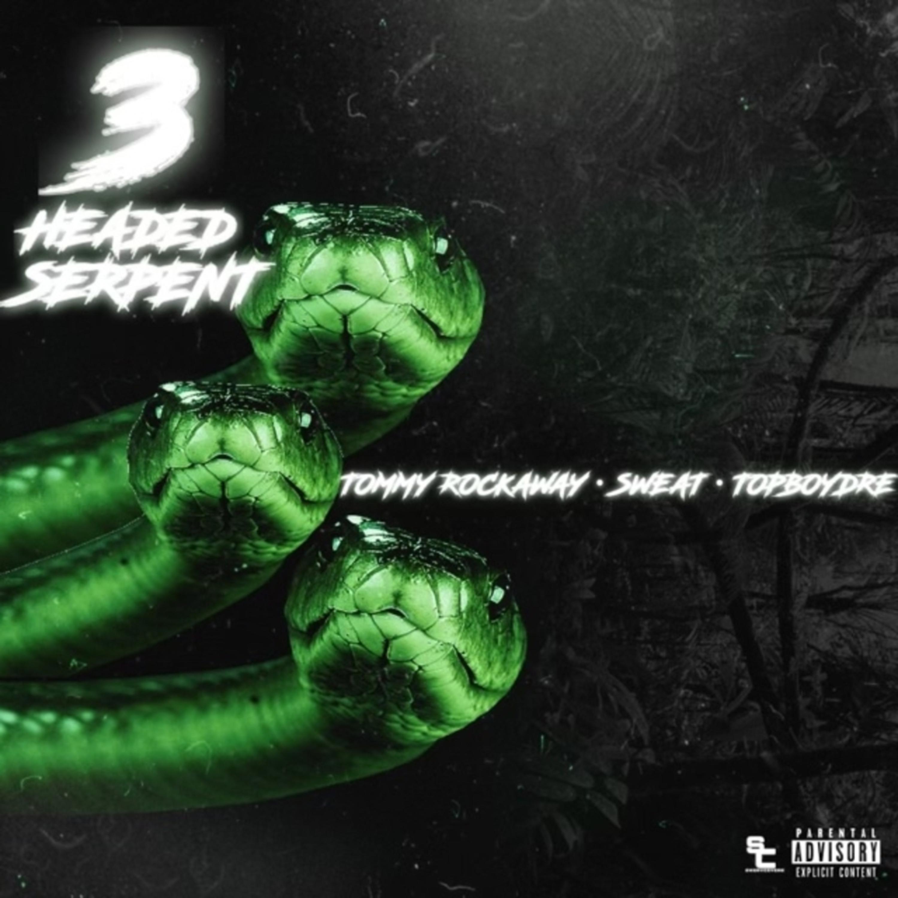 3 Headed Serpent artwork