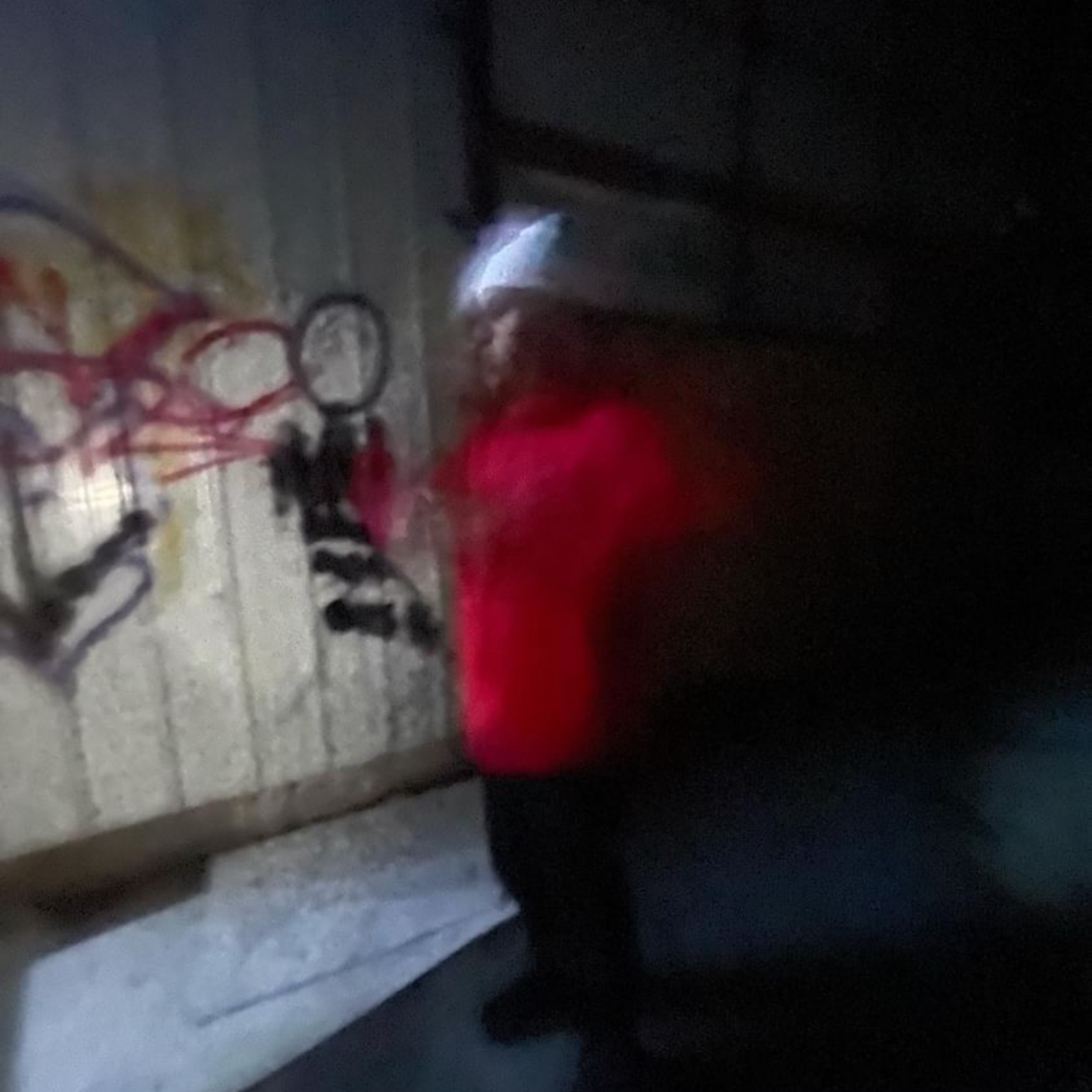 wunt mines¡ artwork
