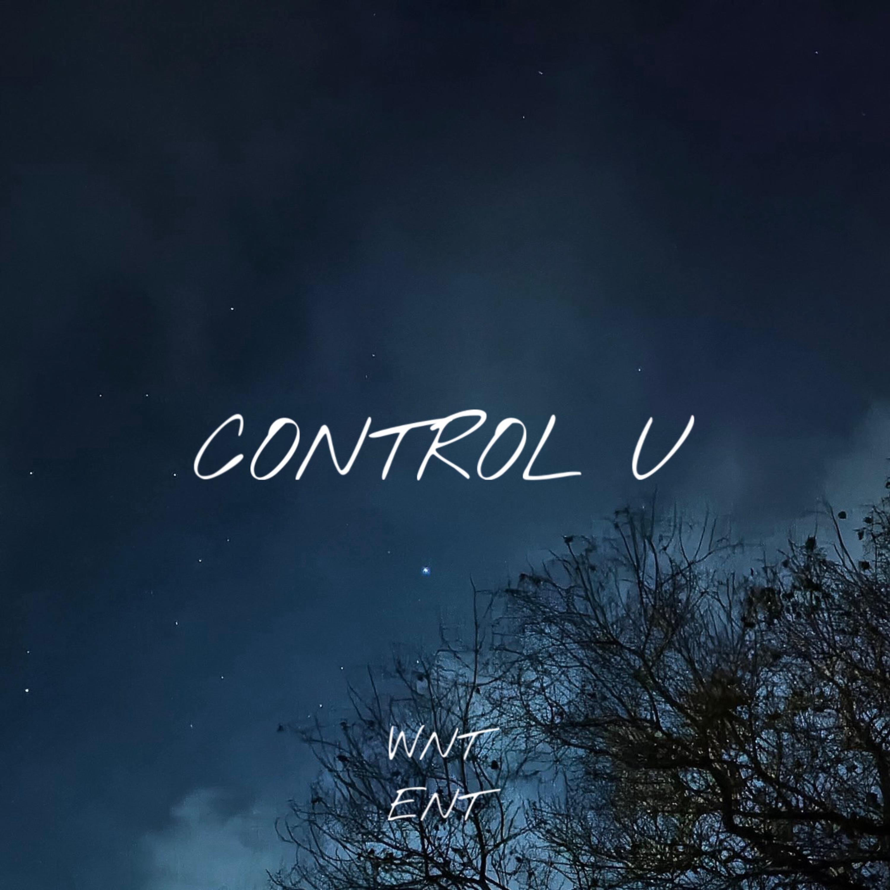 Control U artwork