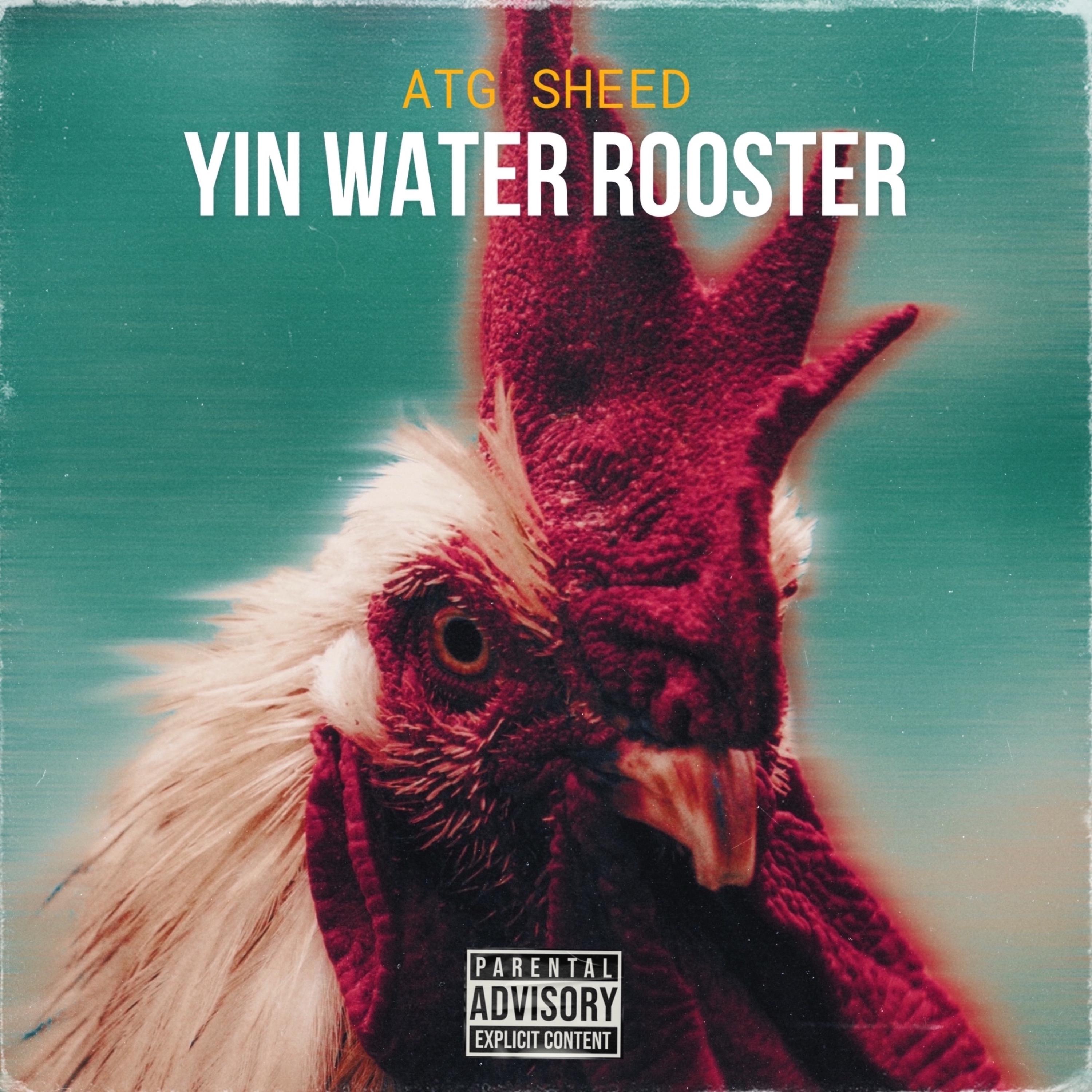 Yin Water Rooster artwork