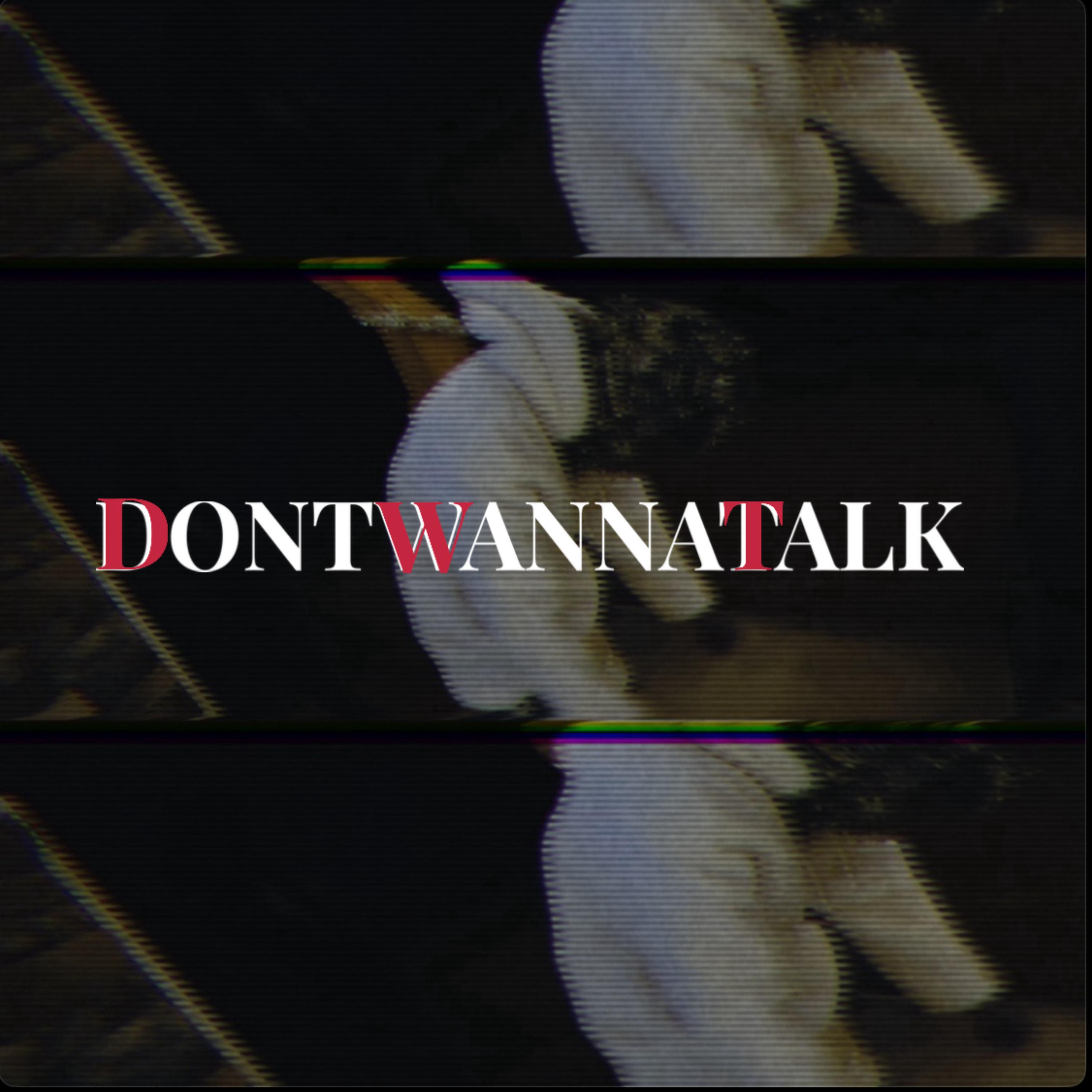 Don’t Wanna Talk artwork