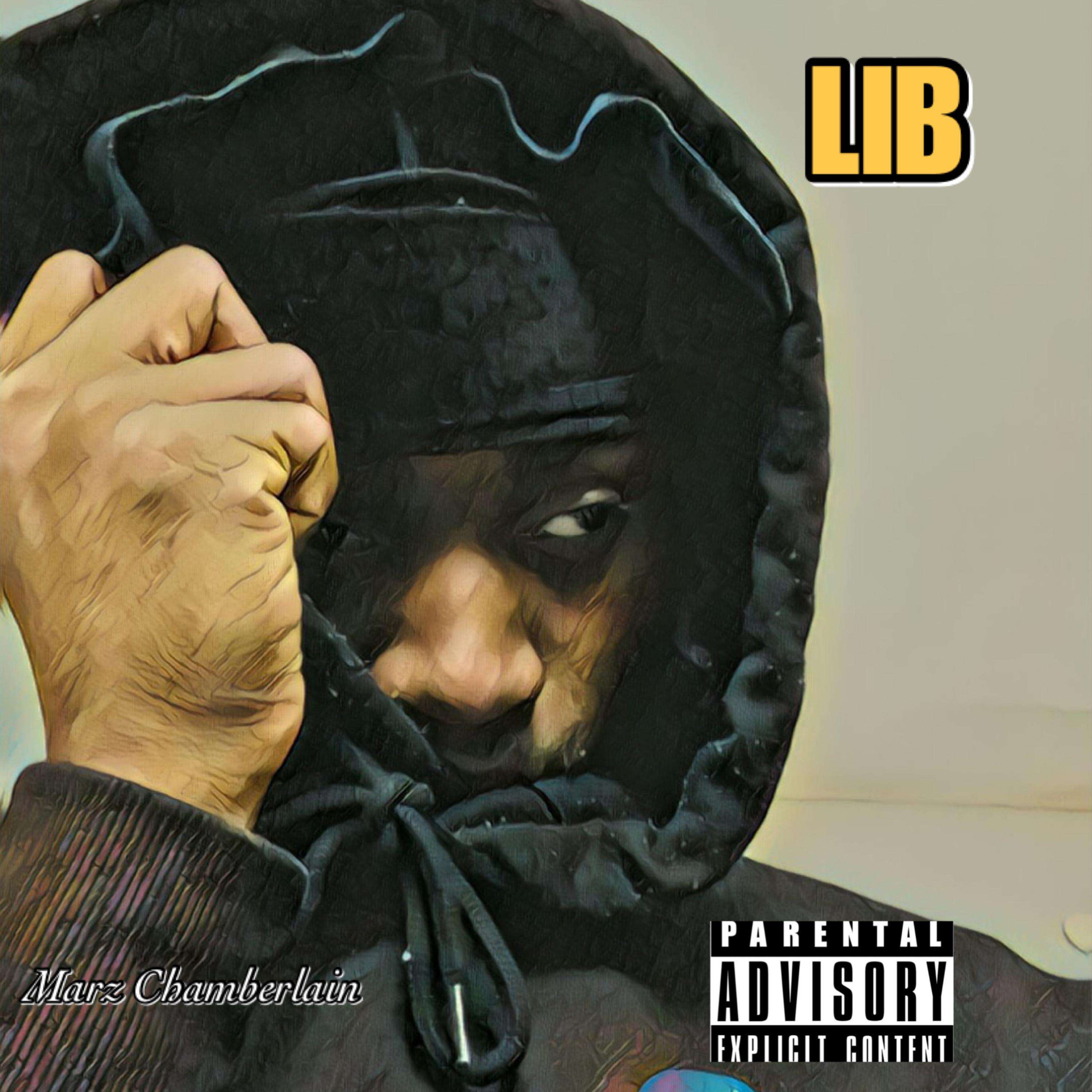 LIB artwork