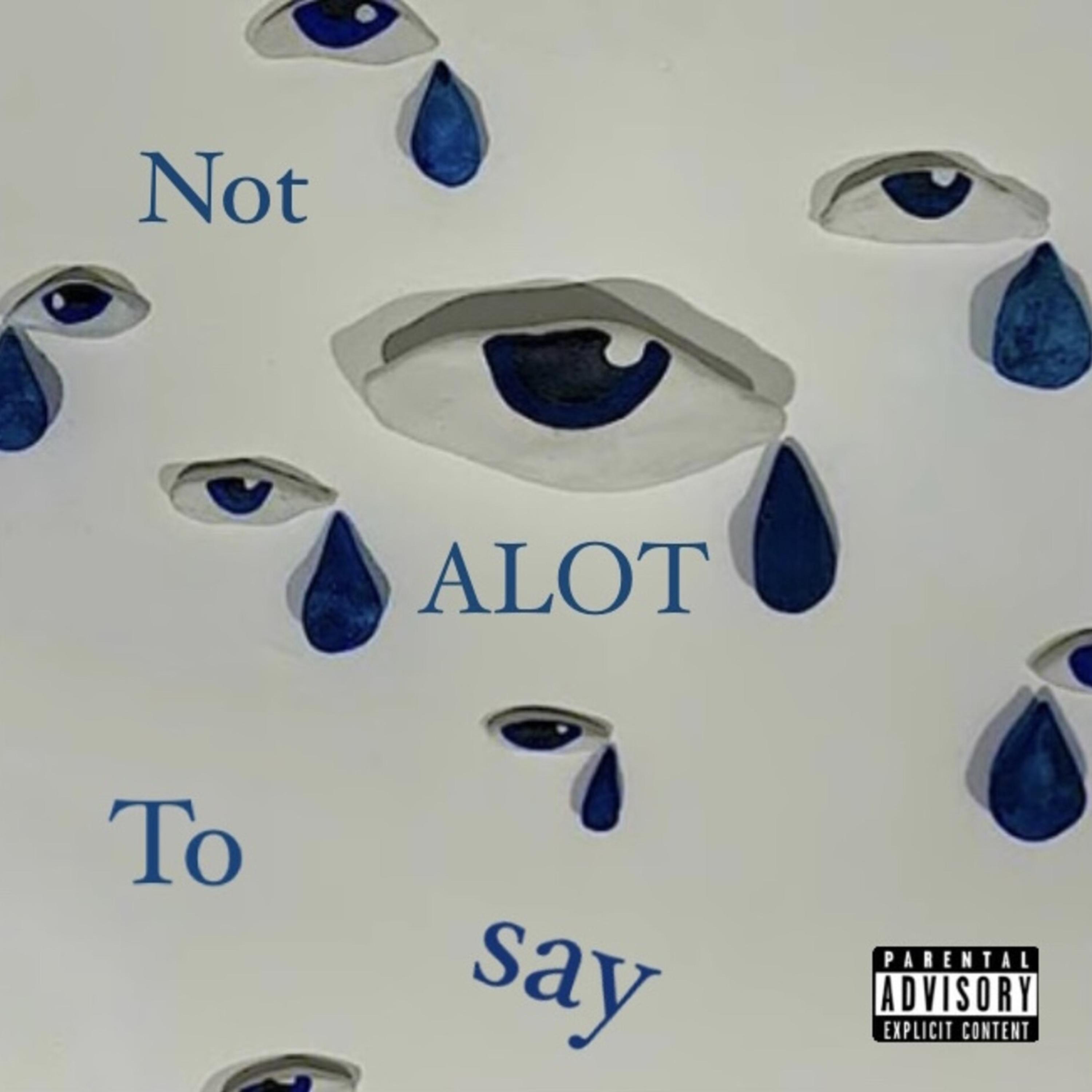 Not A lot To Say artwork